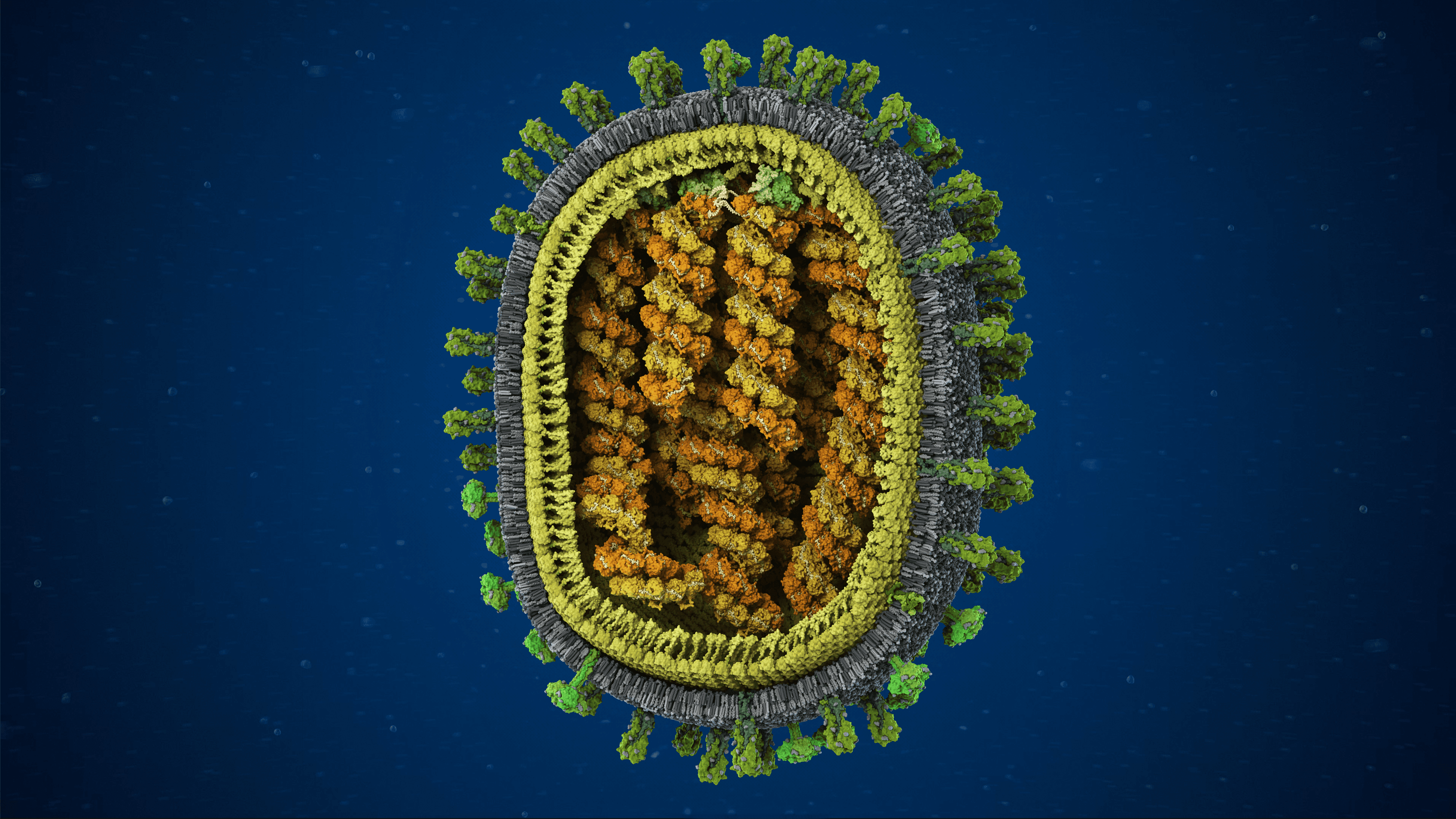 RAS molecule in the membrane