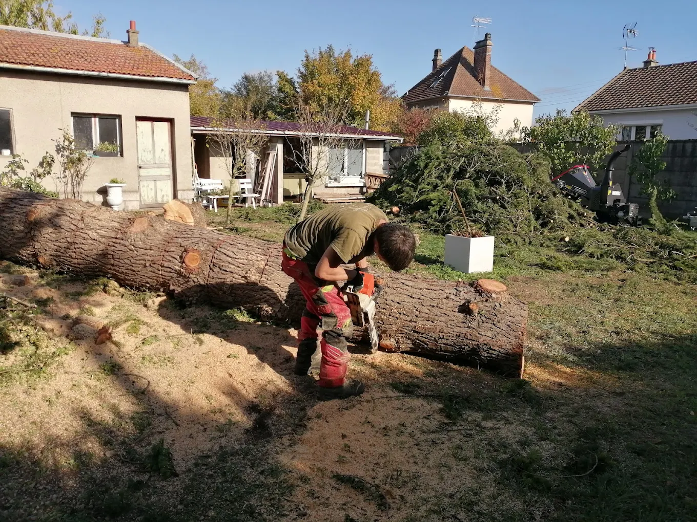 Coupe à la tronçonneuse d'un tronc d'arbre par un homme