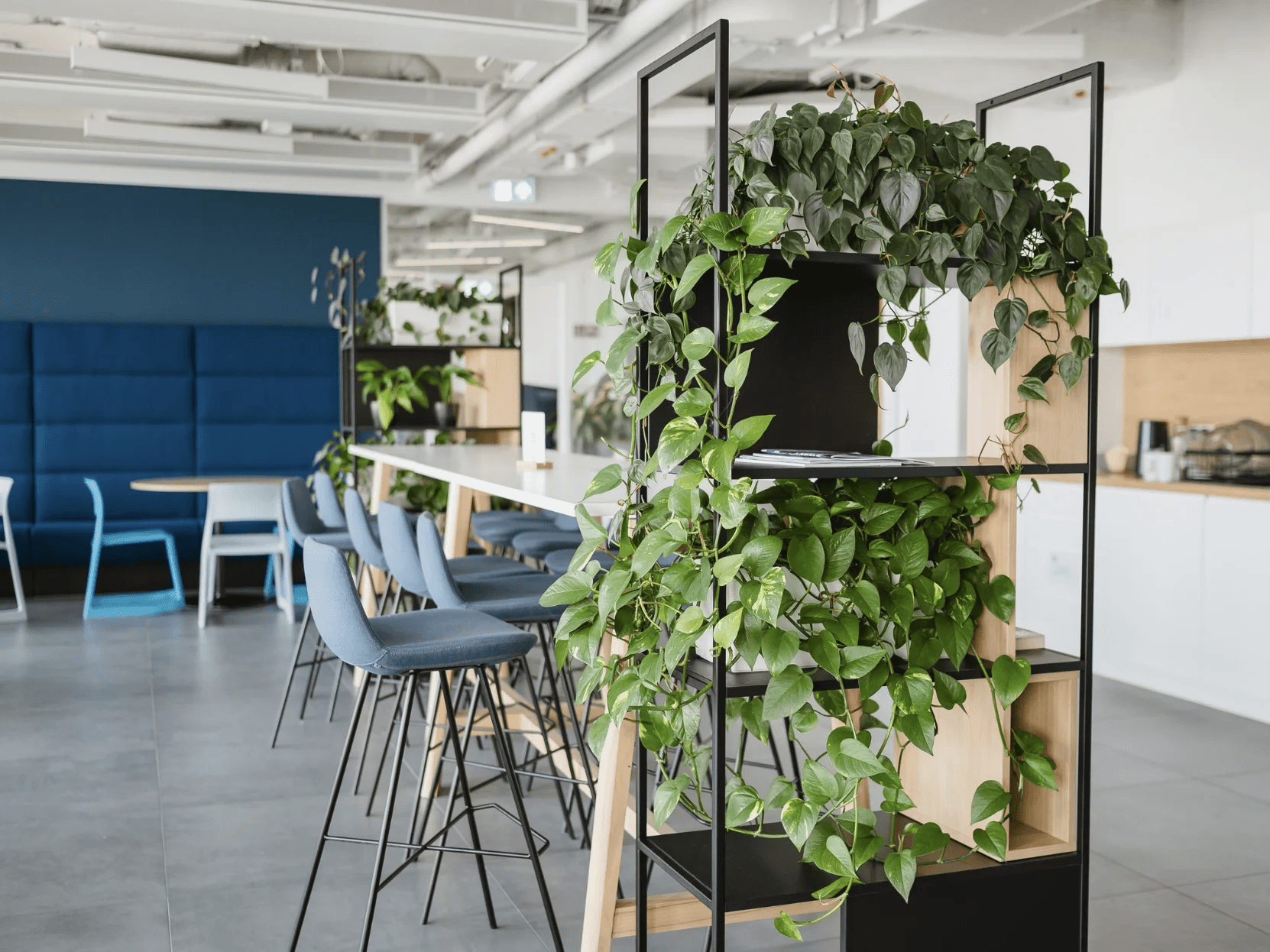 showcase firmy officejungle