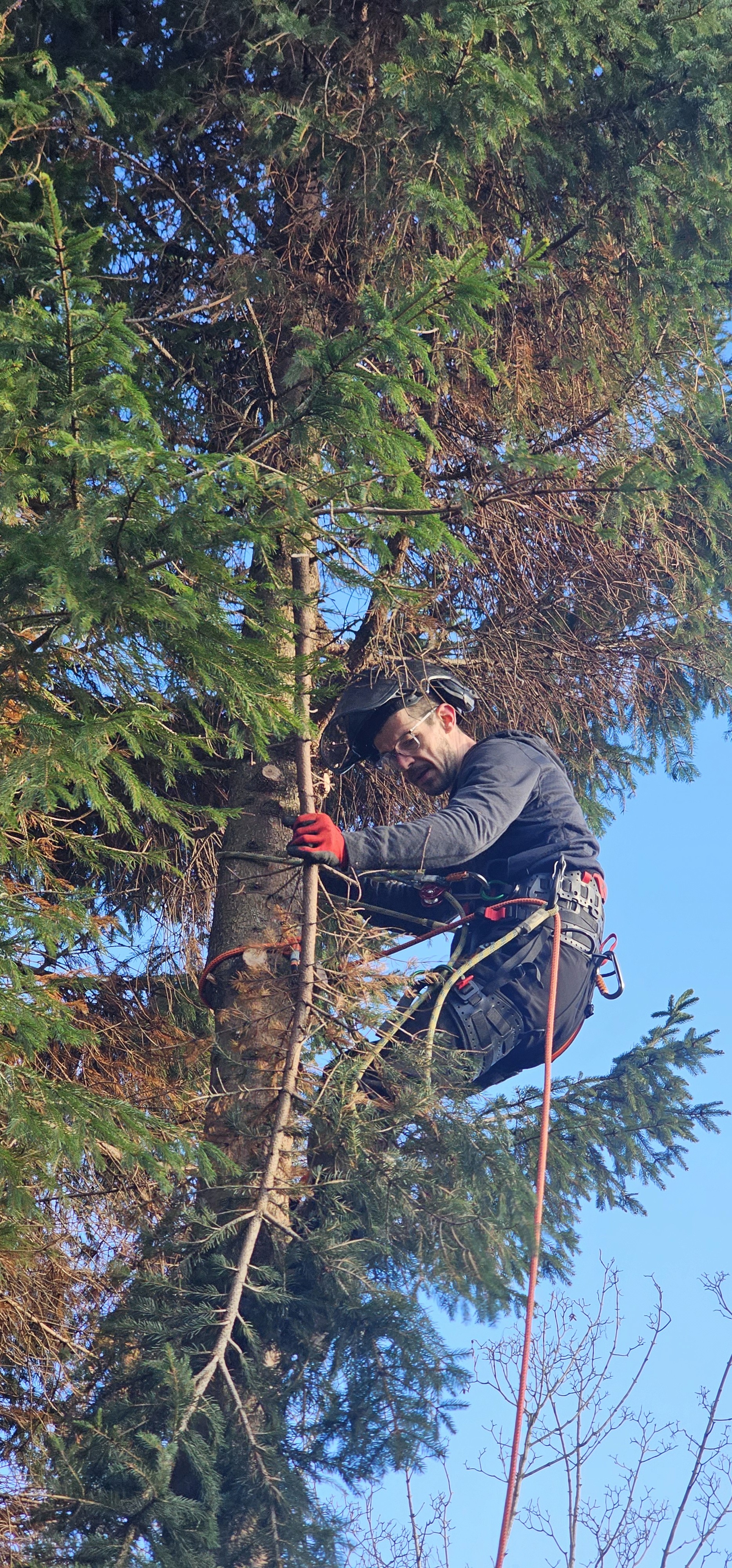 birds eye photo of forest and mountains
