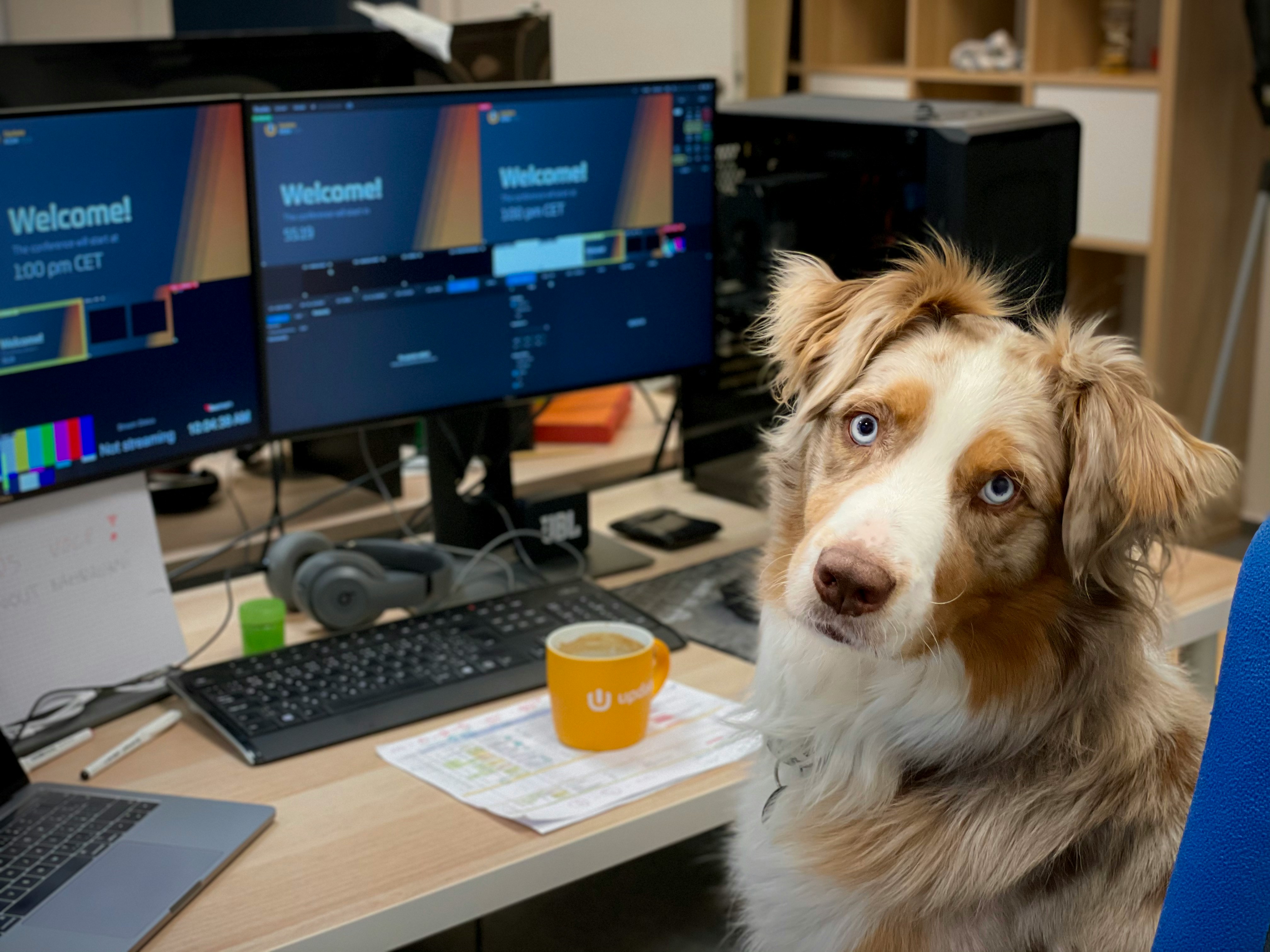 A dog at his desk in front on a computer with a cup of coffee logging into the Scoops McGee Customer Portal to easily manage his service.