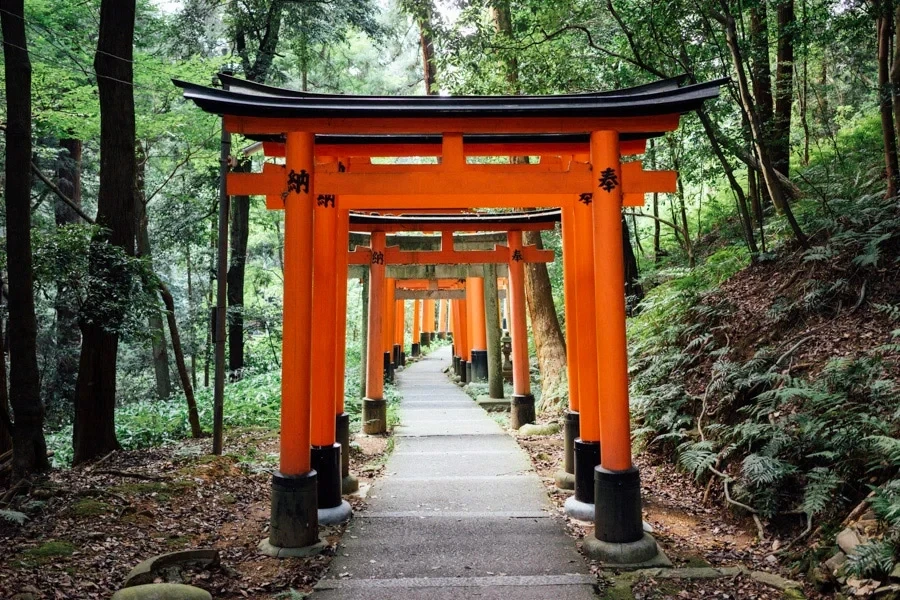 Torii Gates Forest Path