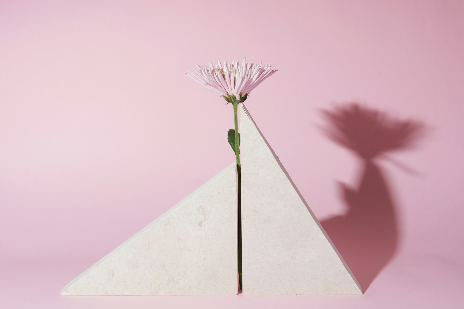 Pink Geometry