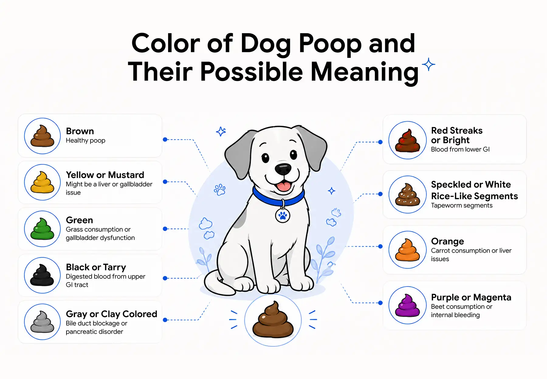 An infographic showing the different colors of dog poop and their meanings.
