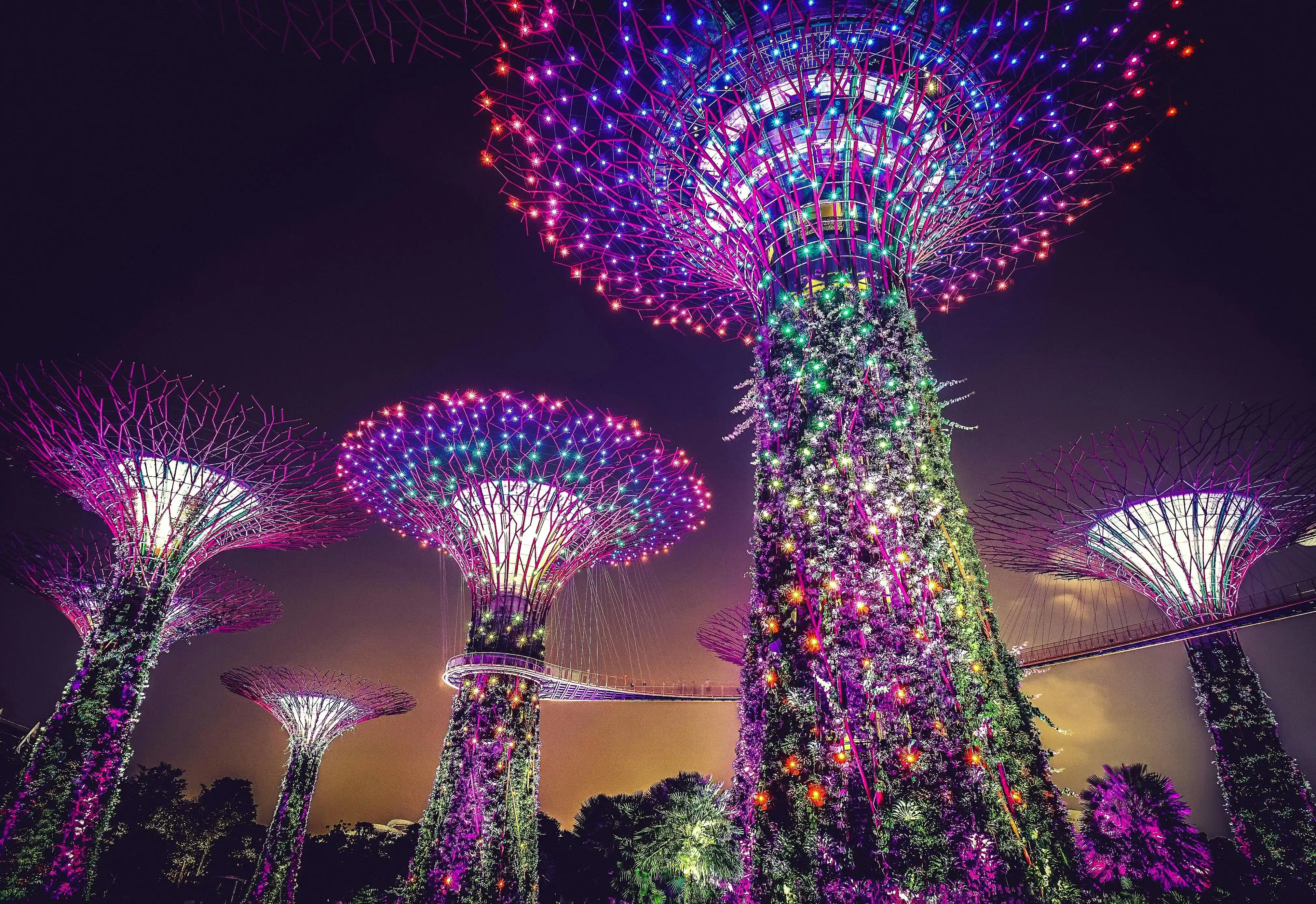 Singapur'da renkl ışıklarla süslenmiş ağaçlar