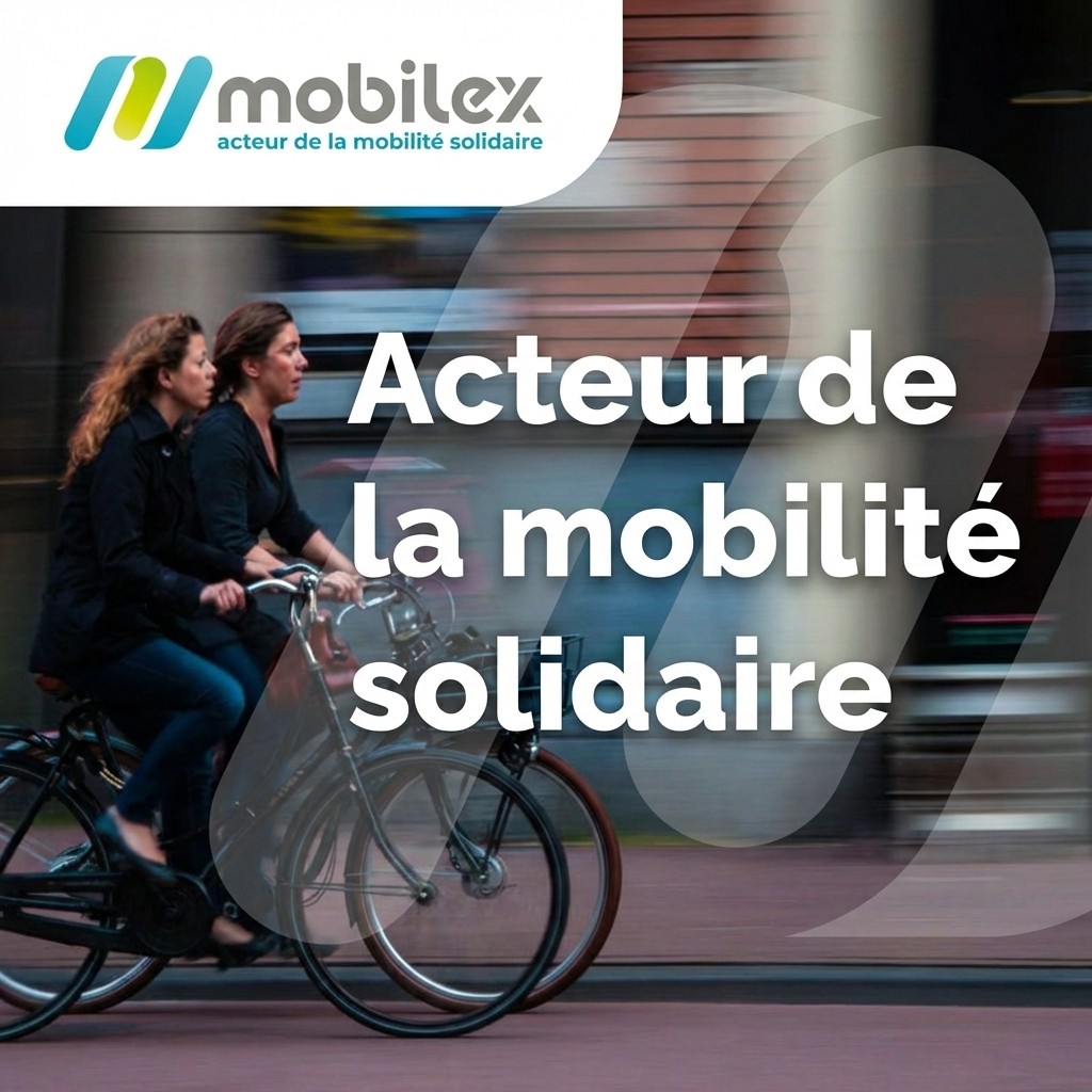 assorted verhicle tire lot