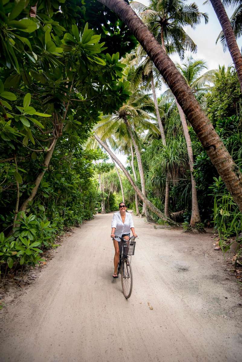 A person in a white shirt and shorts rides a bicycle down a dirt path lined with lush green tropical palm trees.