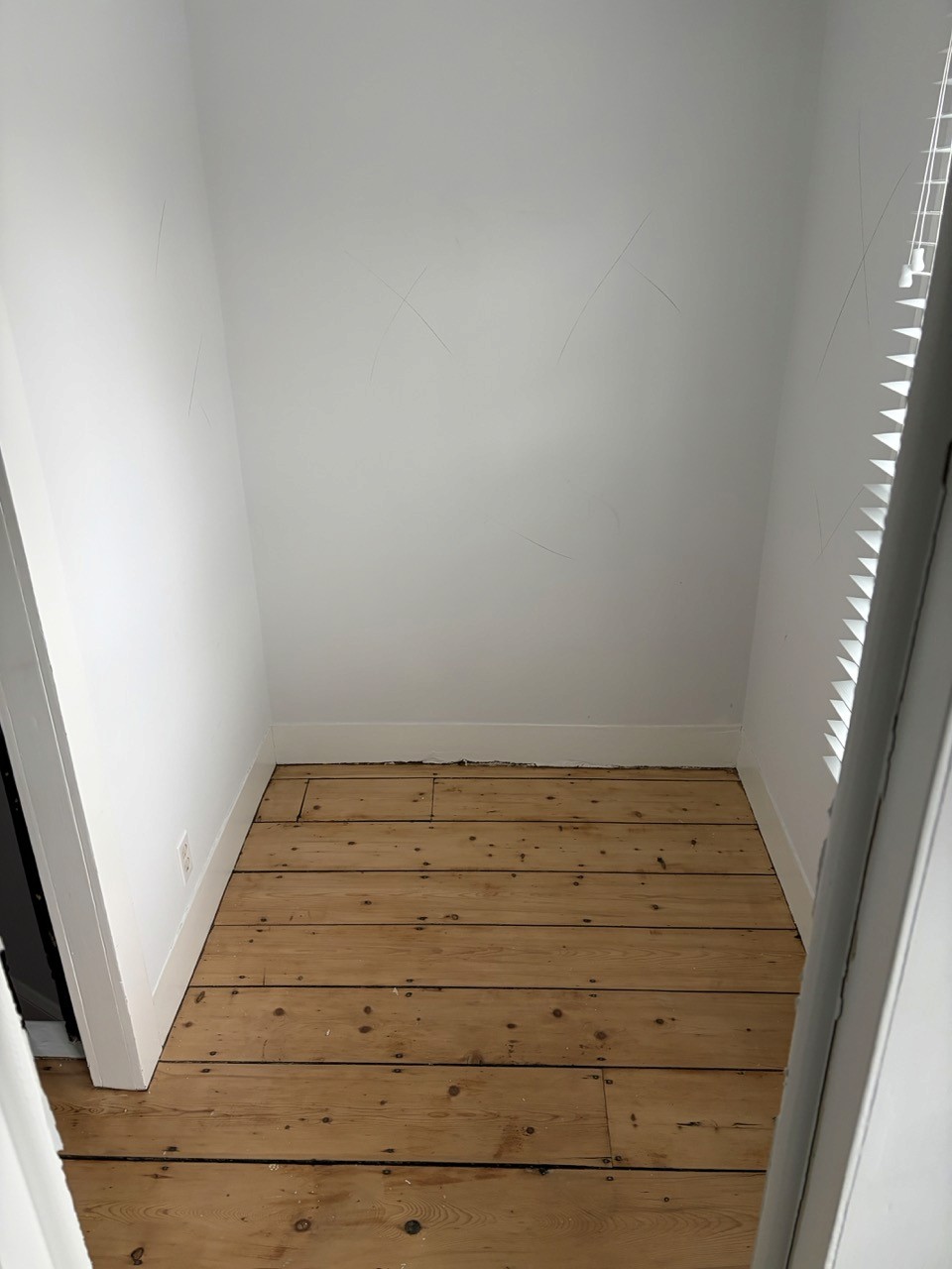 Bathroom Renovation, step 1