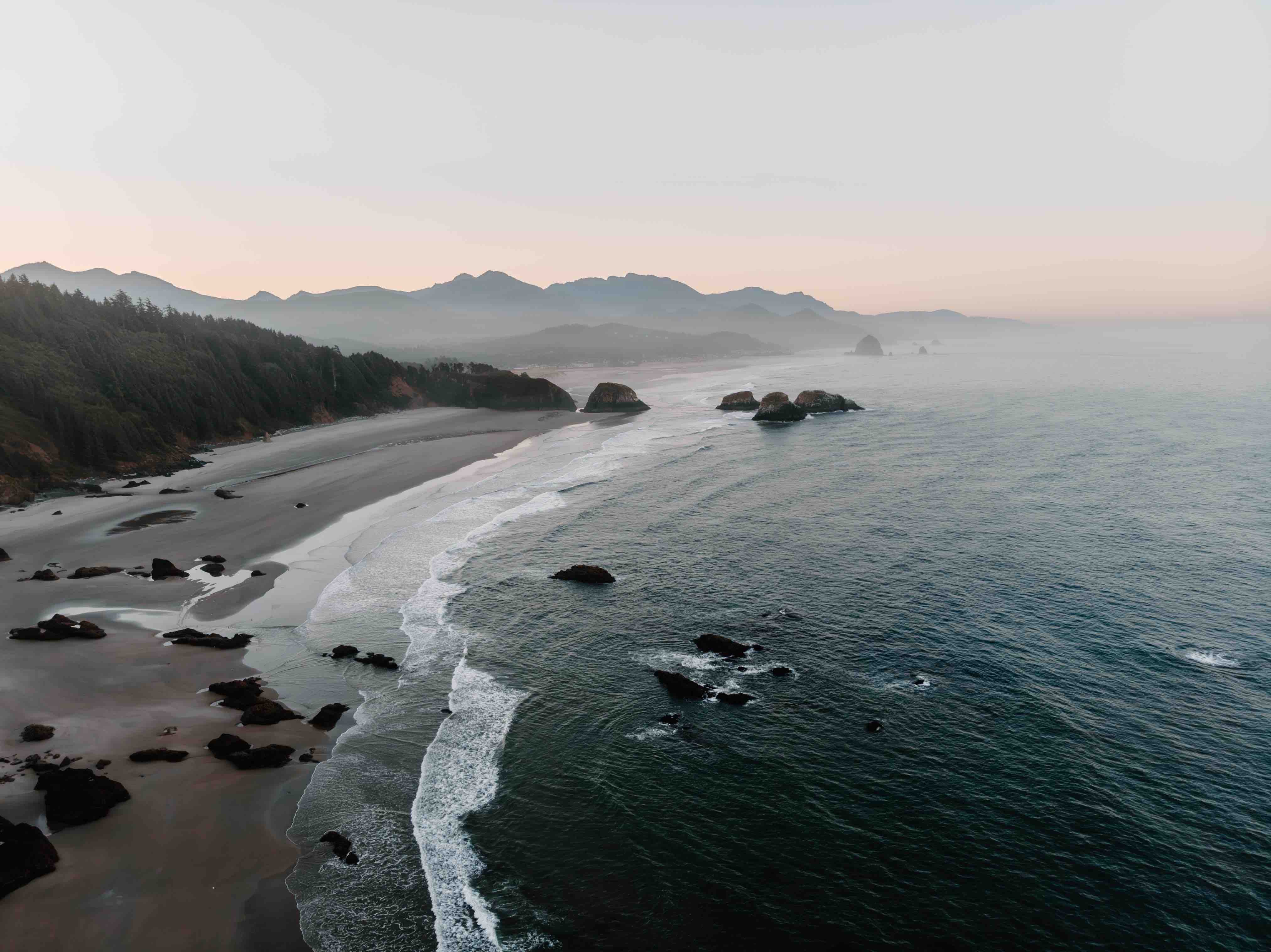 Manzanita beach image