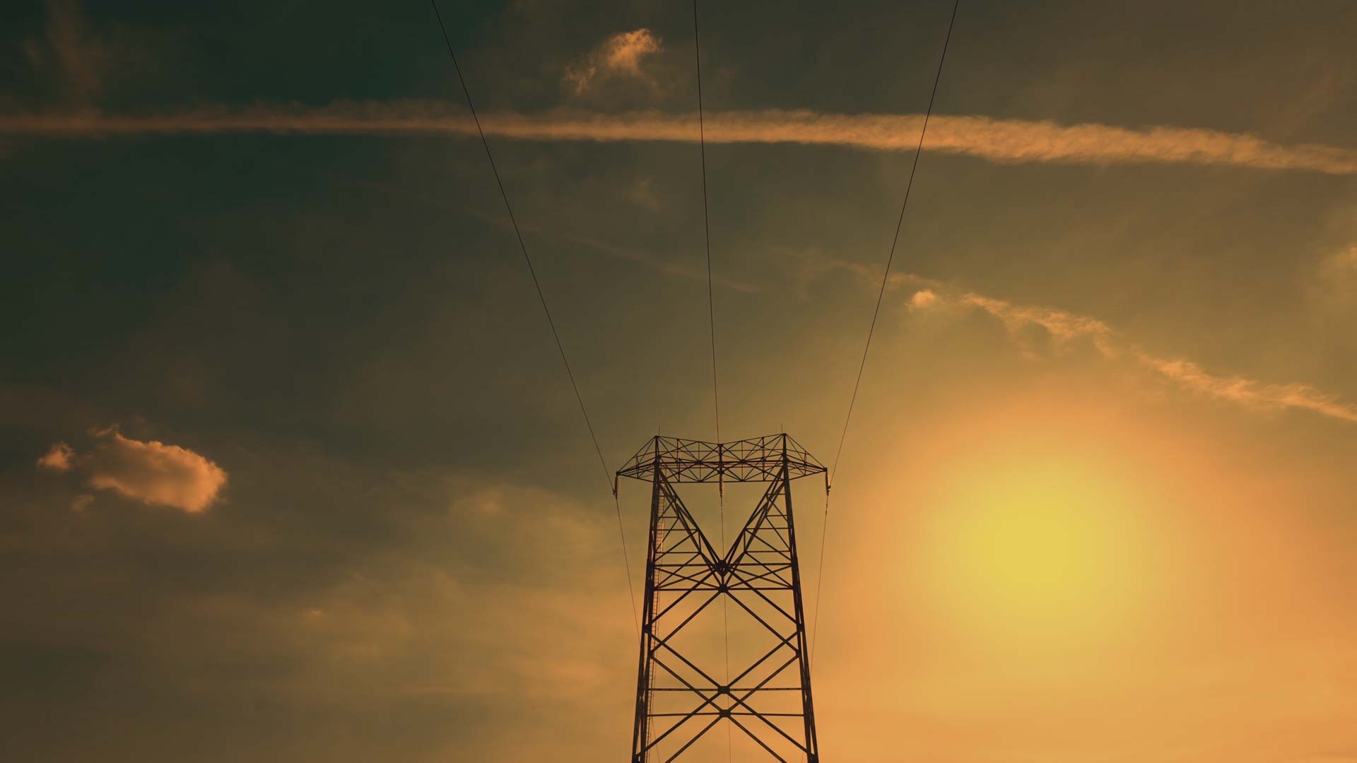 Can Behavioural Change Save Our Planet?