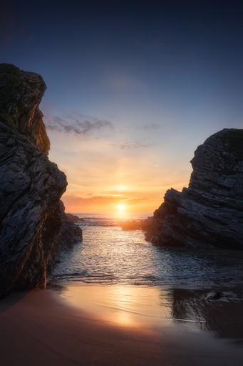 A field of flowers on top of a mountain range