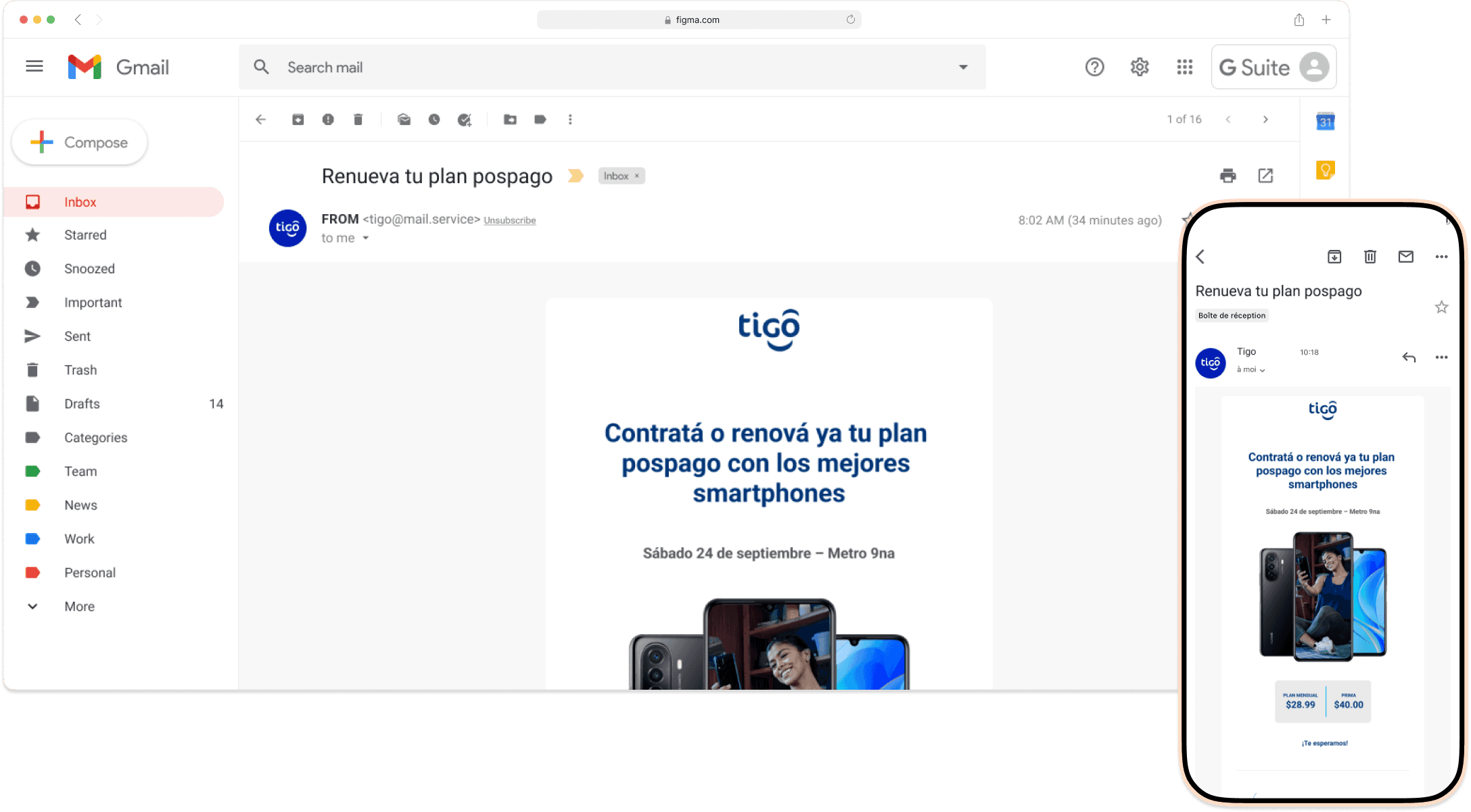 Newsletter Design