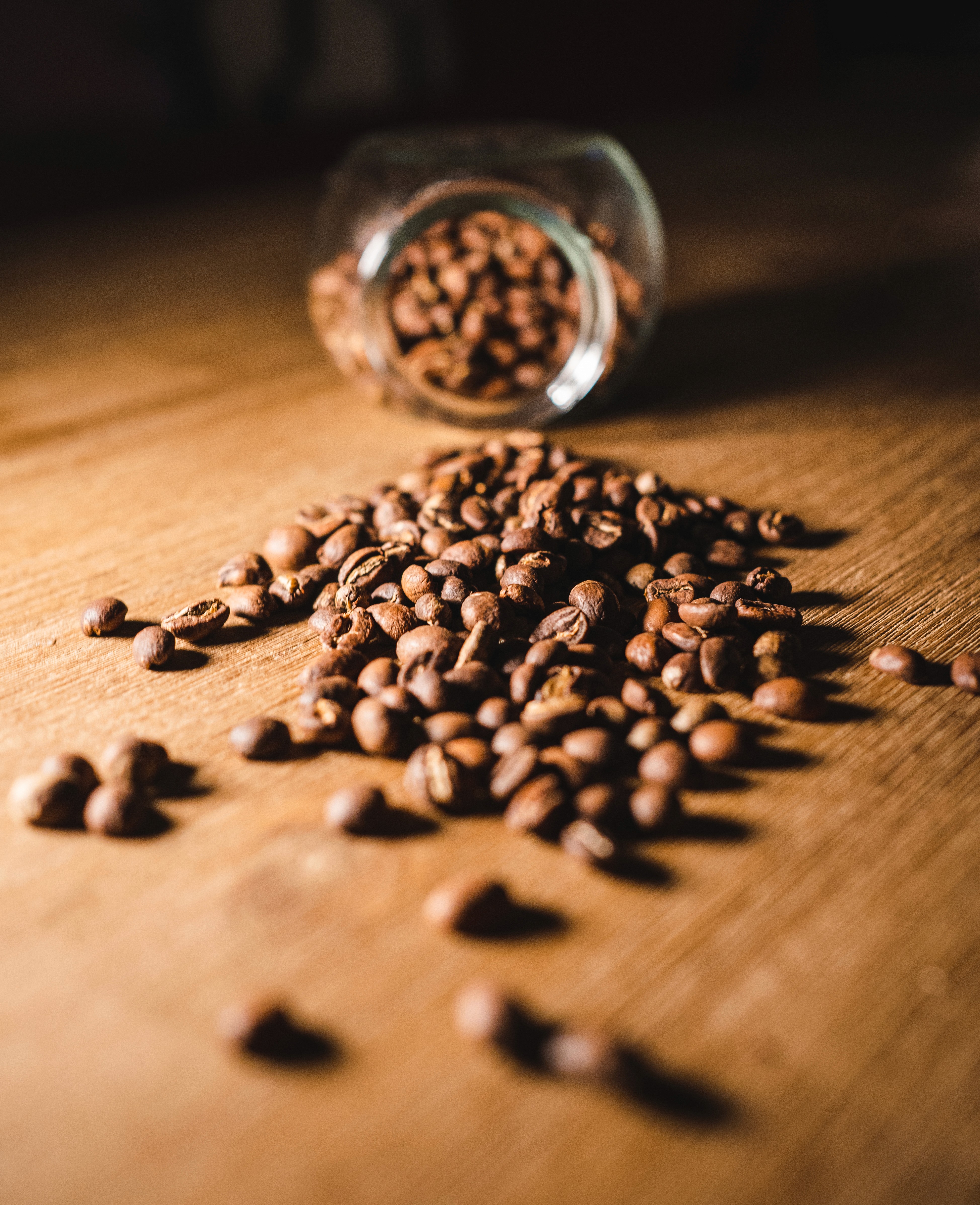 Batch.Works product catalogue book on a work top with a graphic printed image on the front