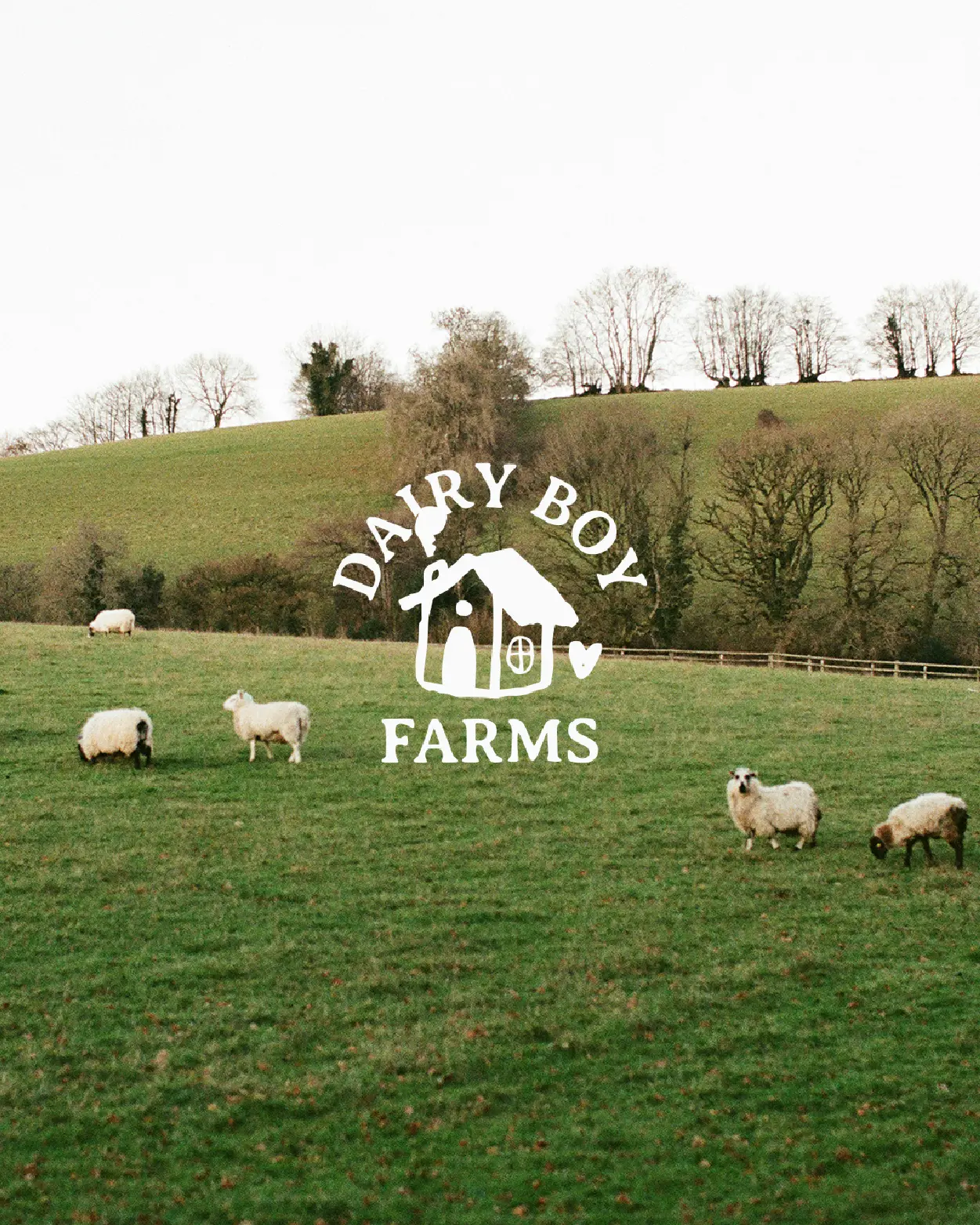 Concert crowd dancing with hands raised, featuring bold Tortuga lettering and “International Artists United by Sound” logo overlay.