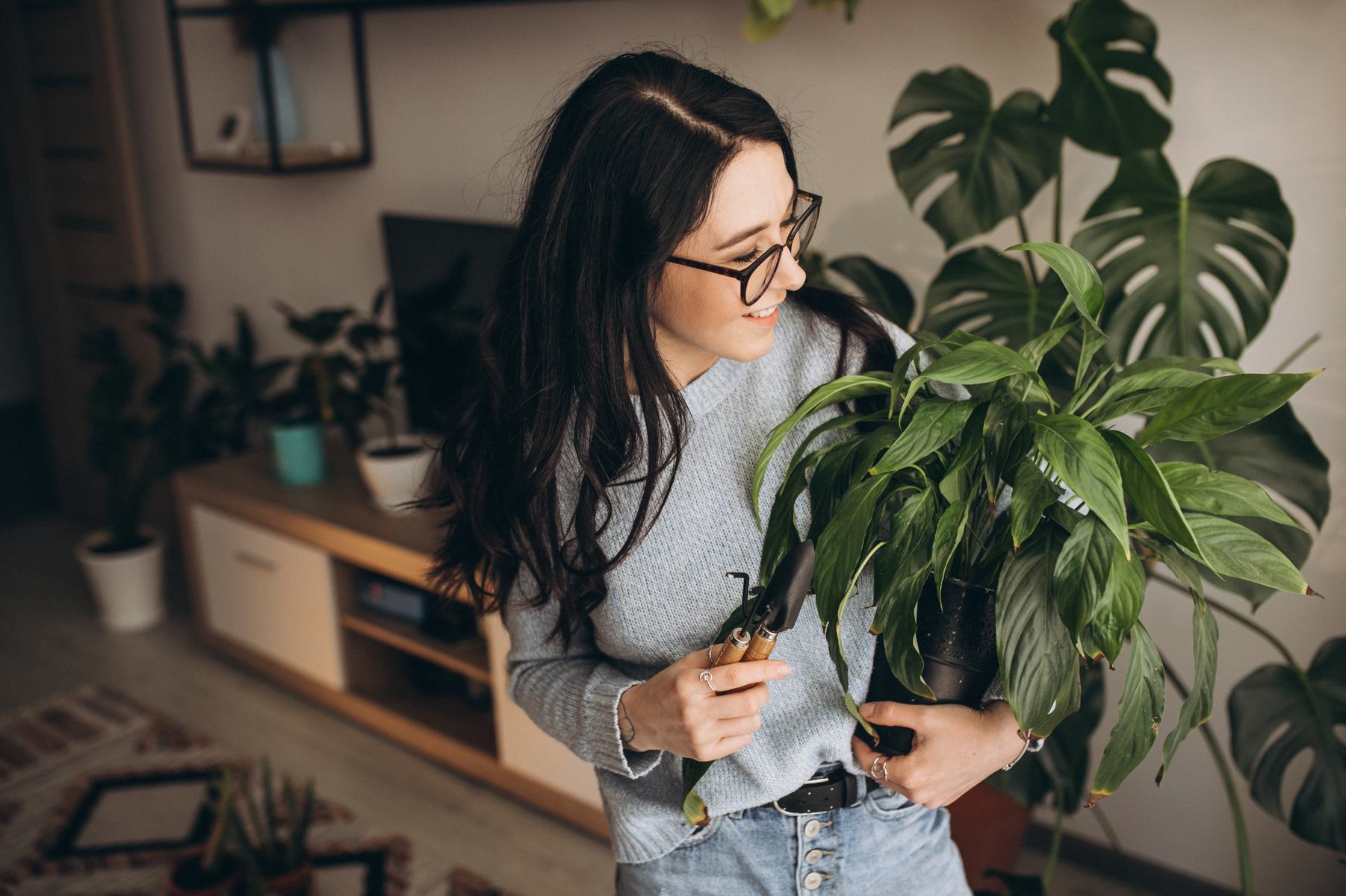 plant identification