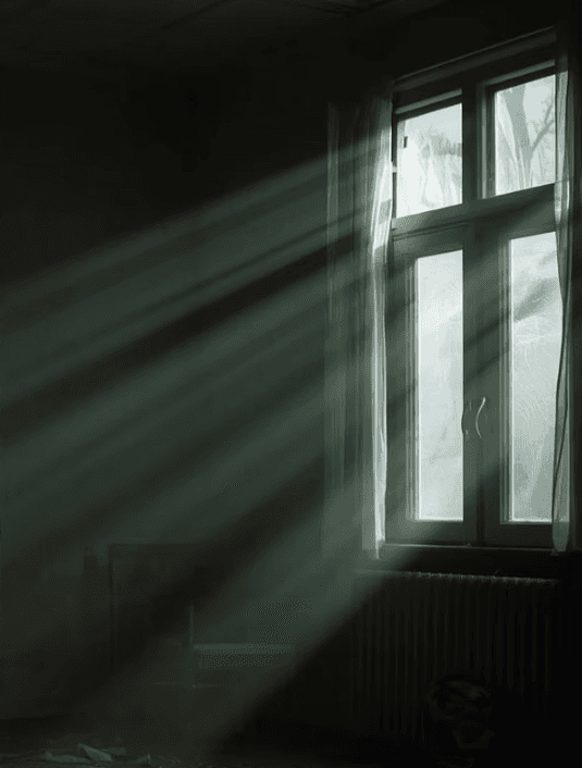 Explore more about us