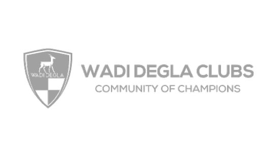 Wadi Degla Club Logo