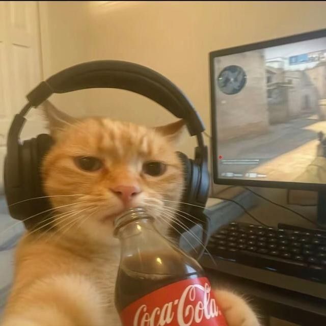 Cat wearing headphones and drinking a Coca-Cola bottle in front of a gaming computer monitor
