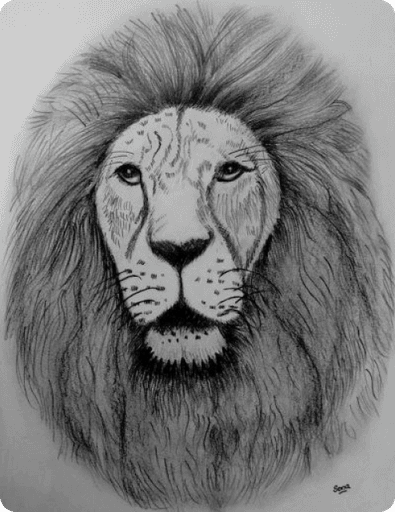 Lion pencil sketch by Sona