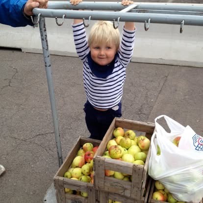Kundebilde fra eplehøsten