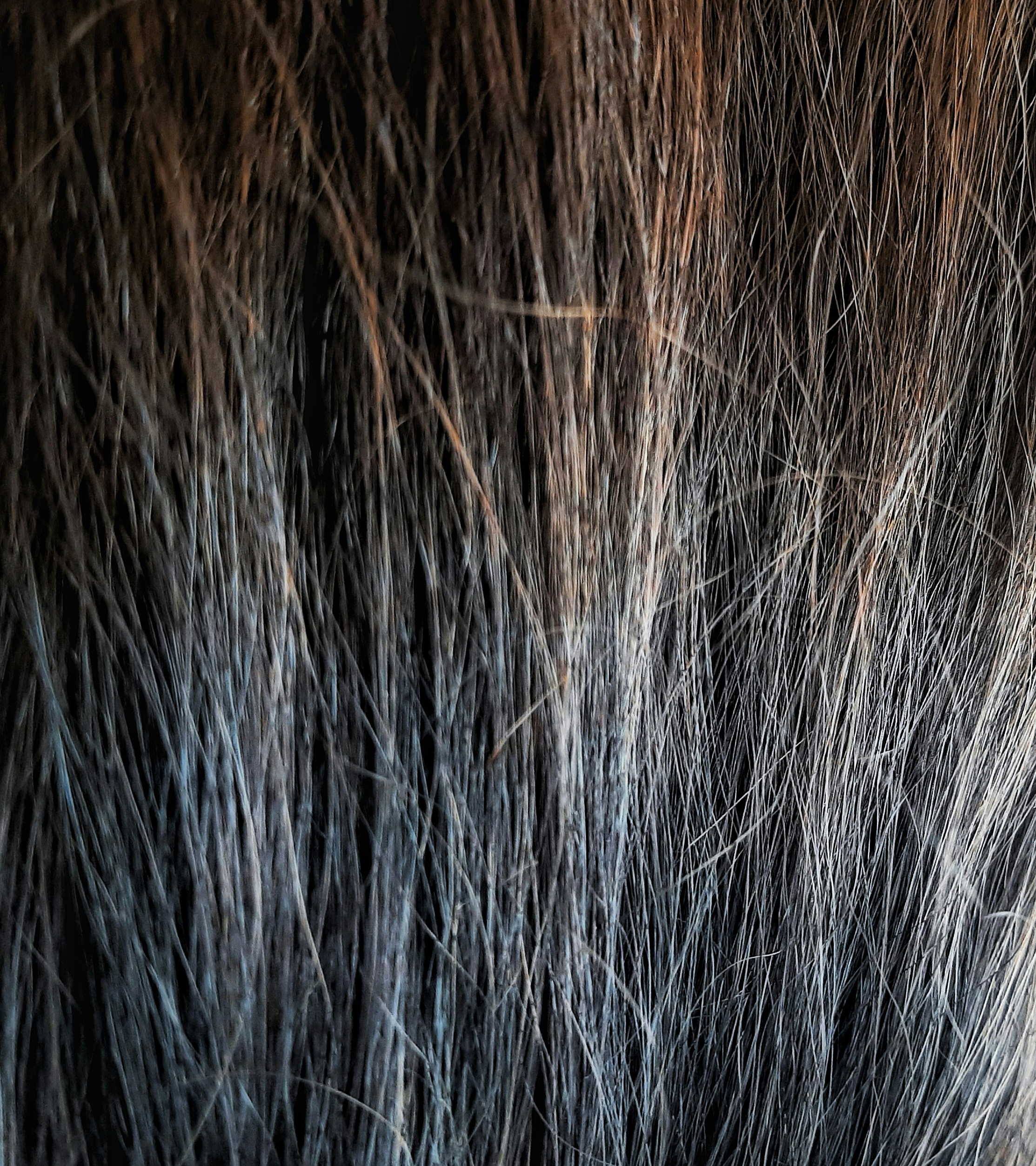 a close up of a woman's hair