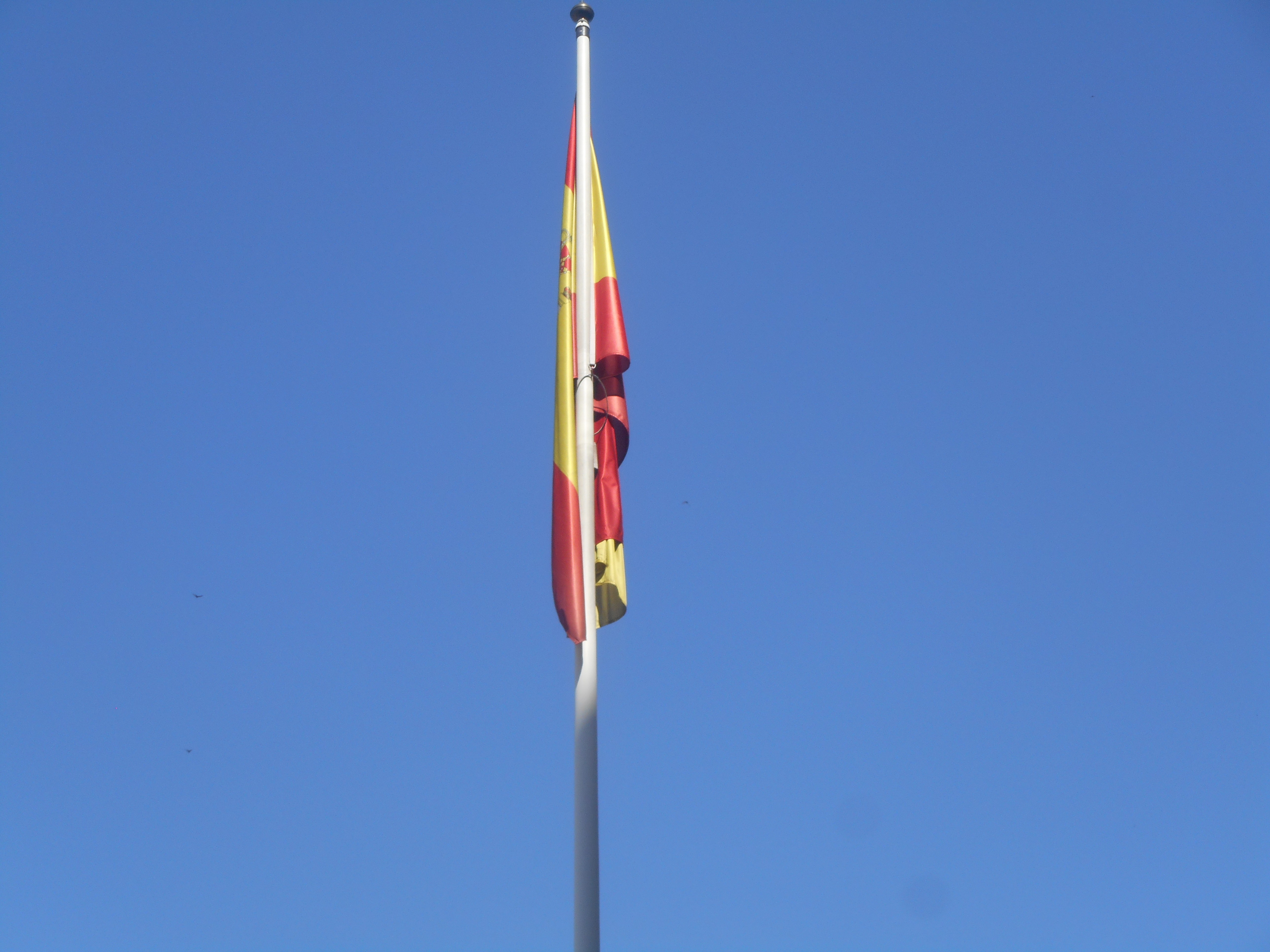 woman on focus photography