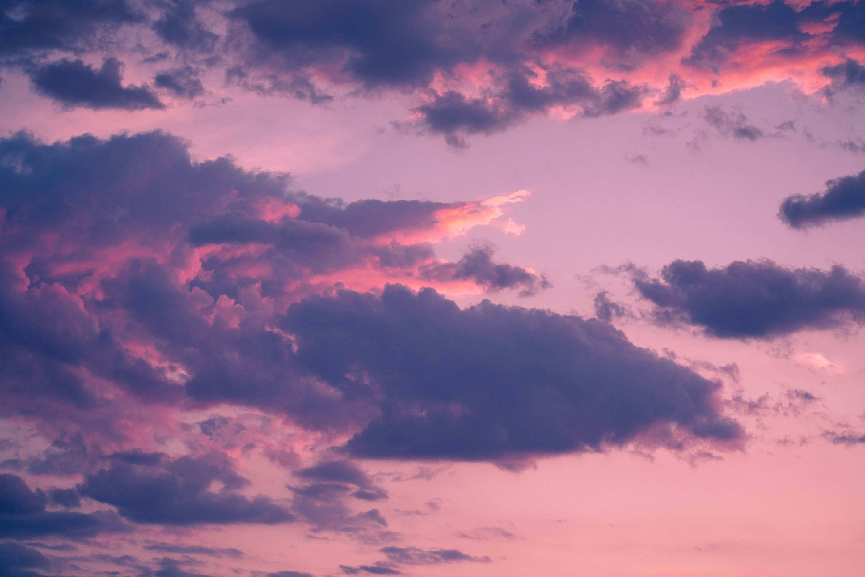 Clouds lit pink at sunset
