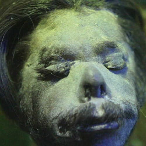 Рипли, повярвайте или не! Орландо