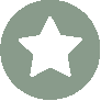 Icon - Star