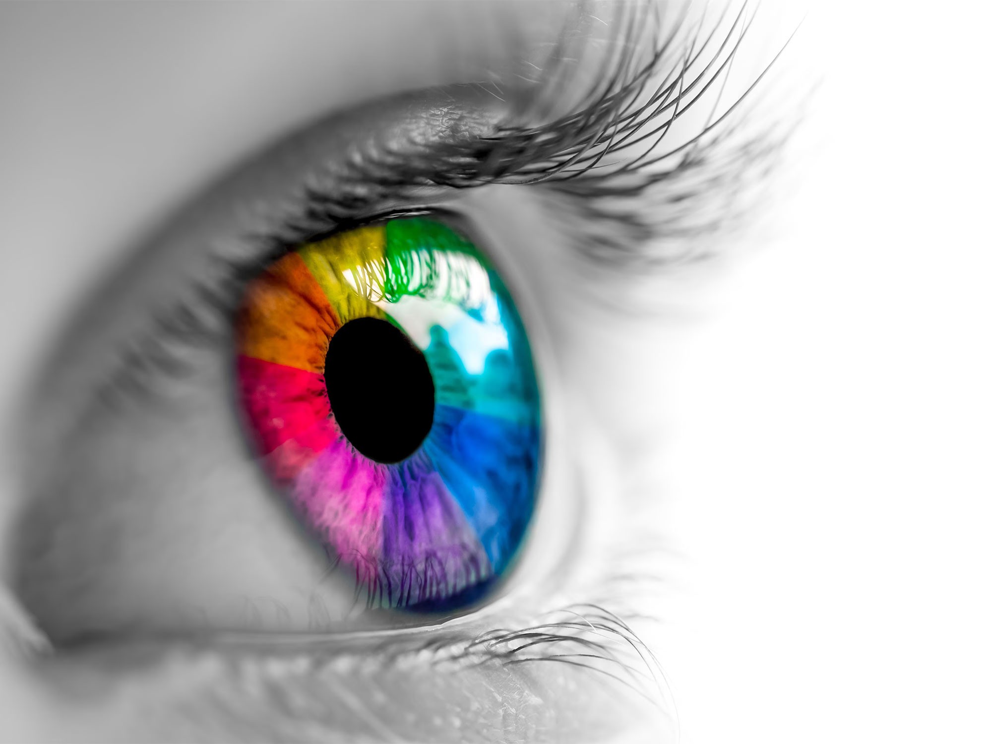 Studio Odeia - Branding, oeil rempli de couleurs différentes