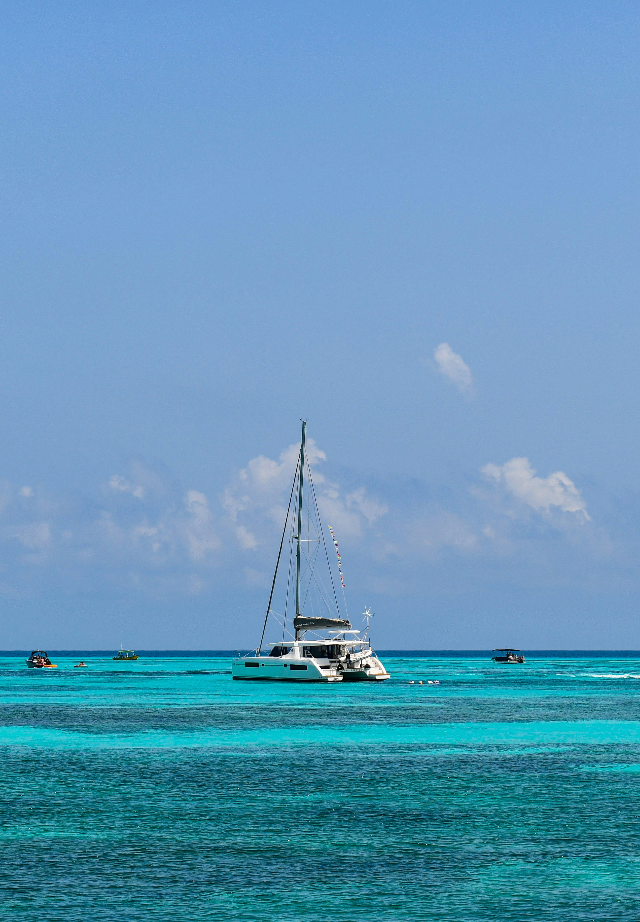 white sailboat on sea under blue sky during daytime