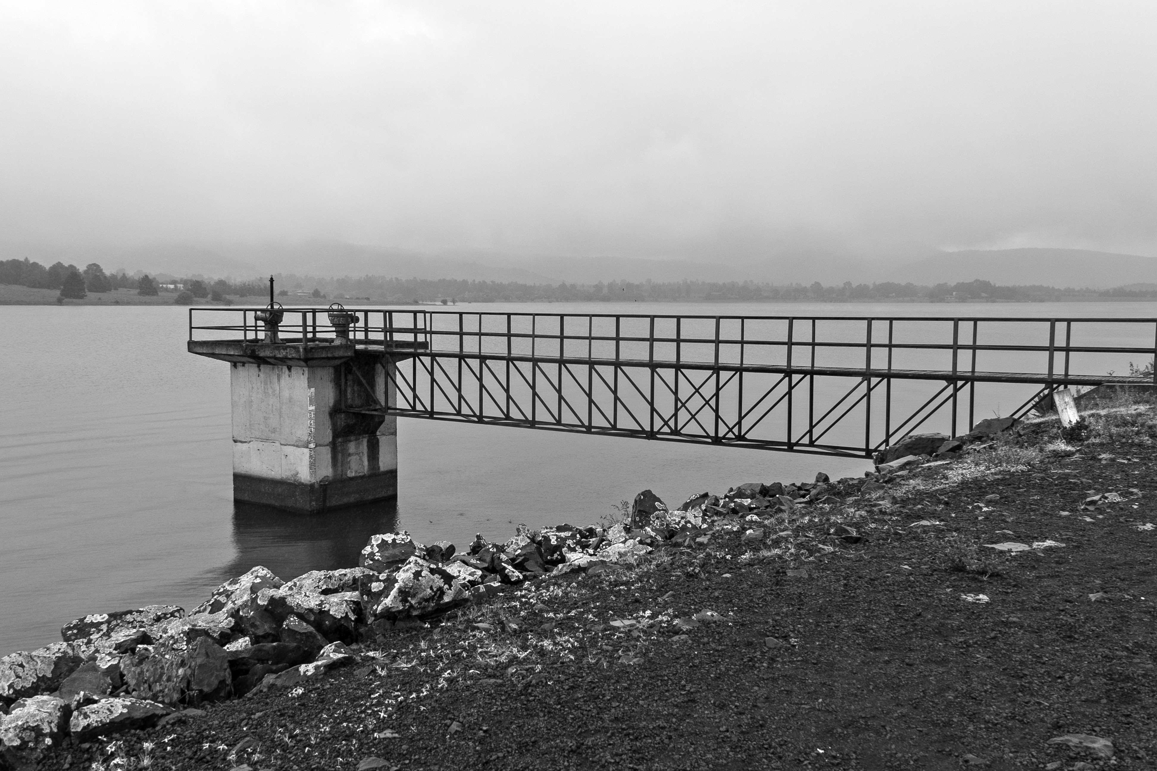 Photo by Renee G. Gudiño