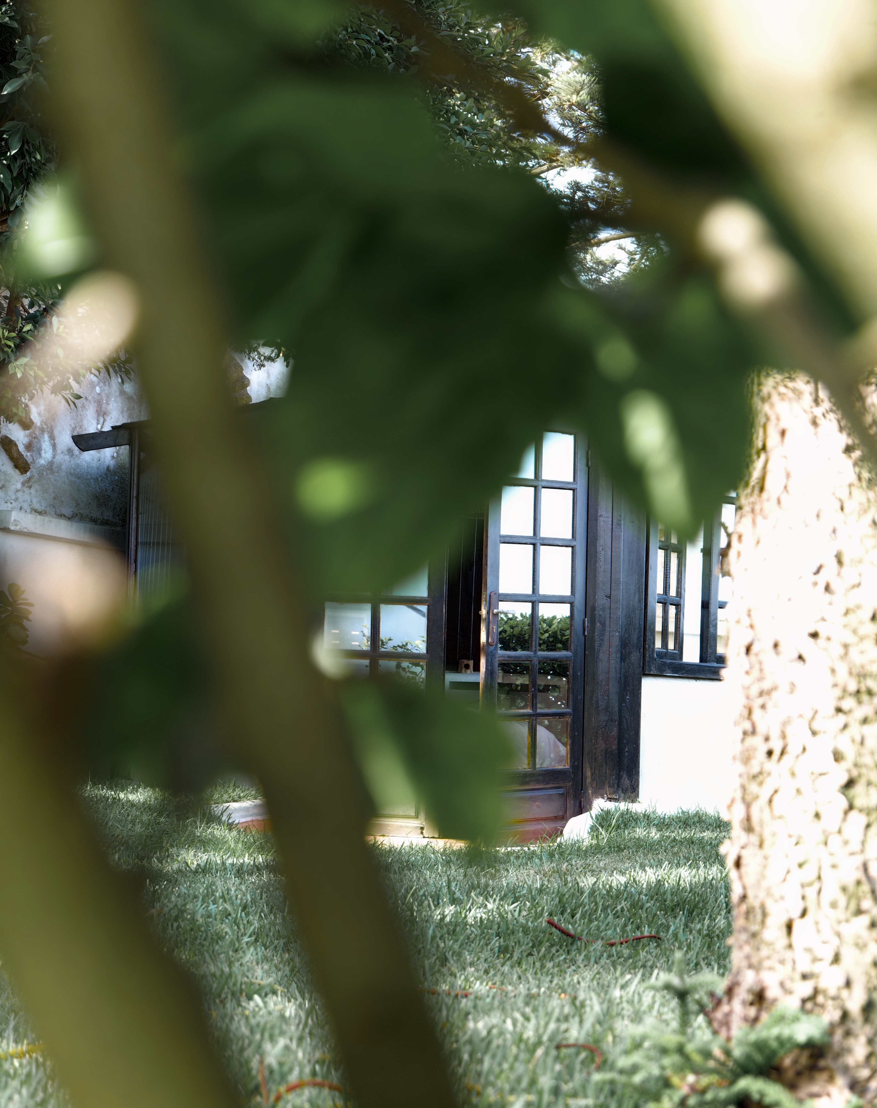 jardin maison simonetta