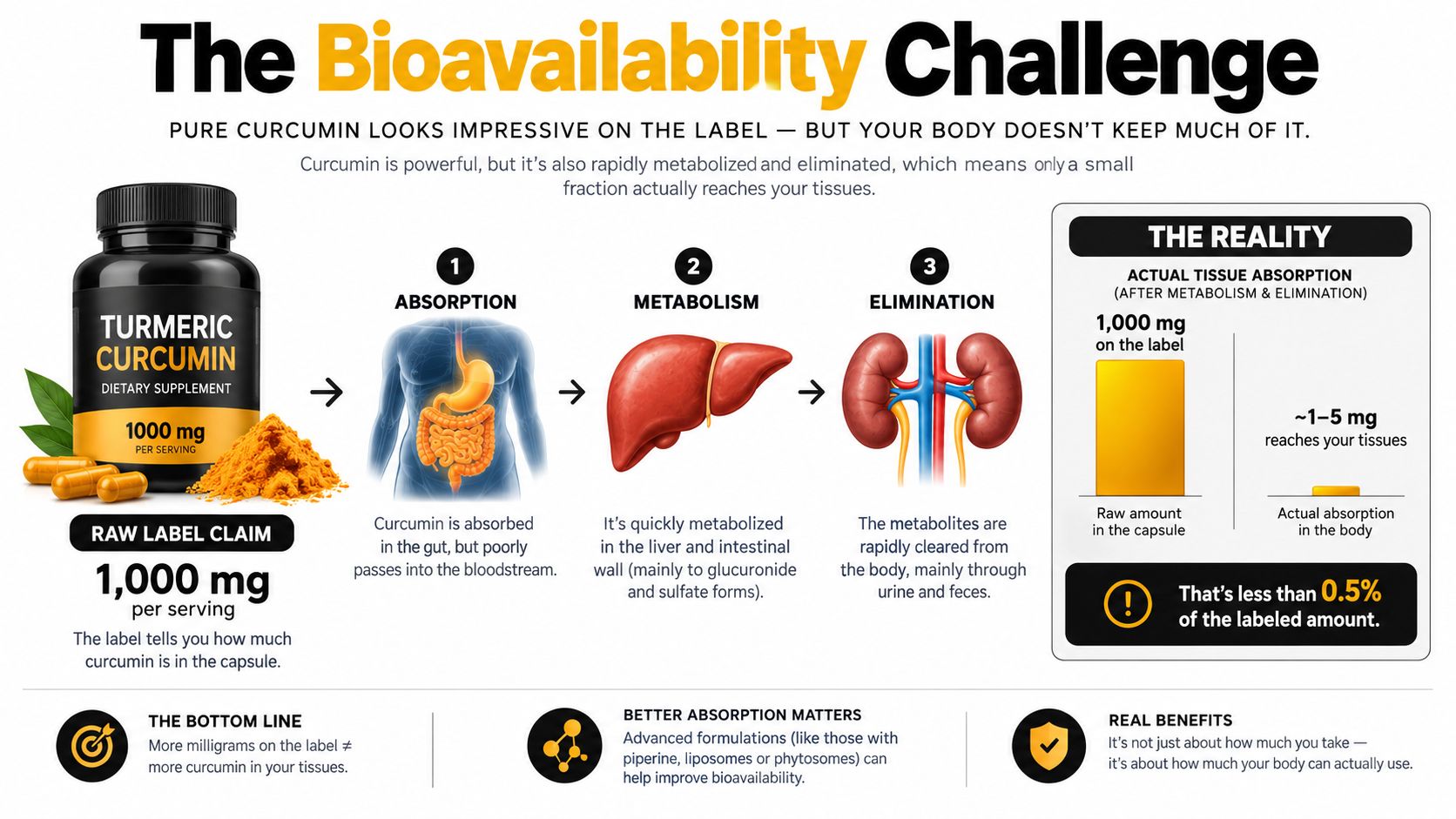 An infographic showing that most curcumin from turmeric supplements is metabolized and eliminated, leaving little tissue absorption.