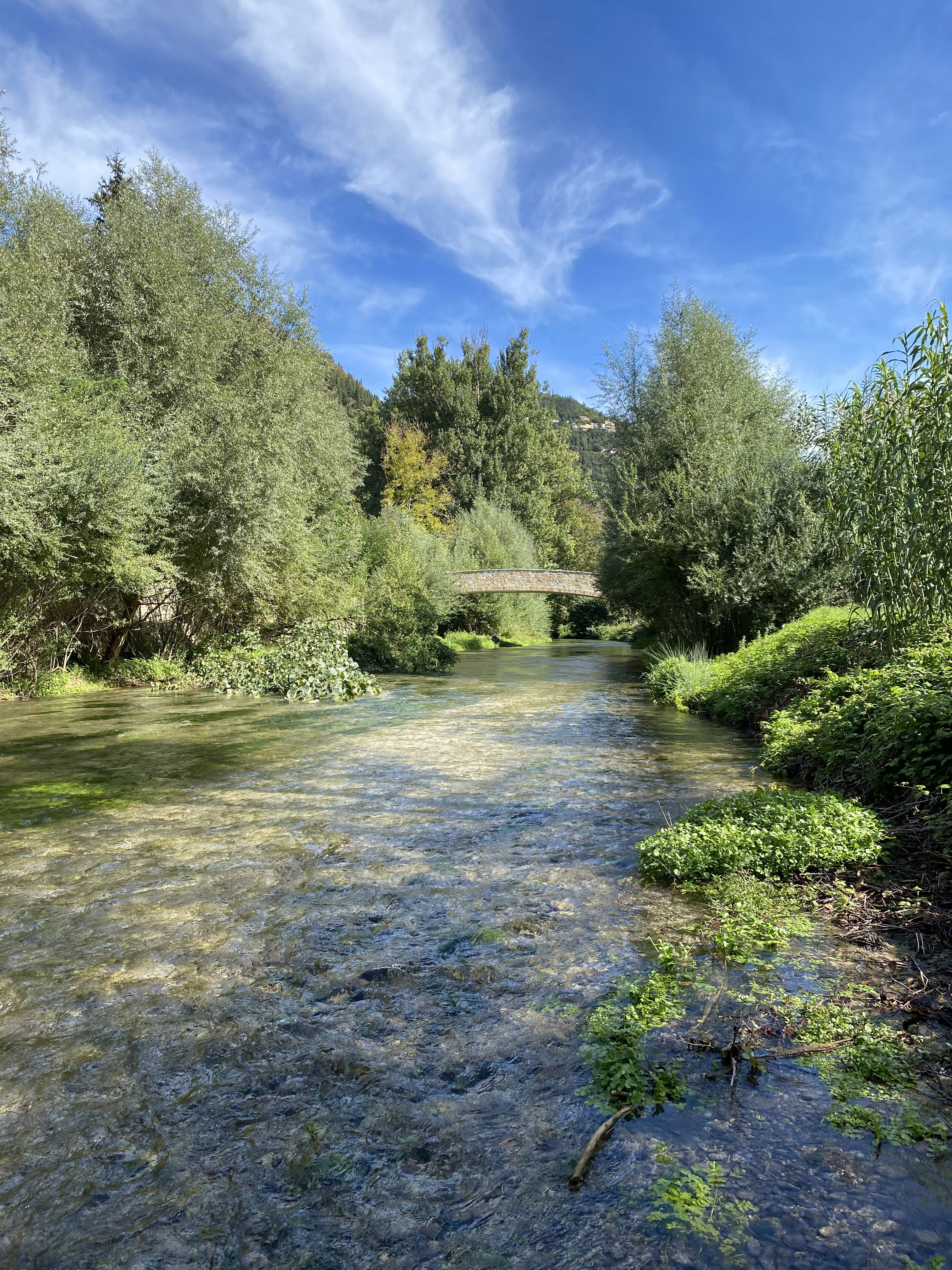 Plan a perfect Italian excursion with fly fishing on the Nera River. Enjoy catching trout in beautiful Umbrian waters and delight in the region's exquisite food and wine. Learn from expert guides skilled in dry fly, streamer, and nymph fishing.