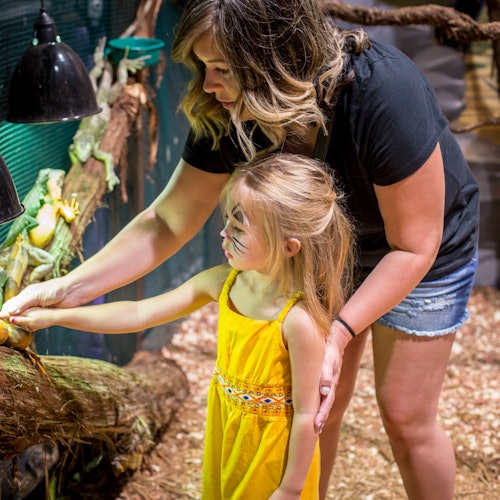Una donna aiuta una giovane ragazza in un vestito giallo a nutrire un rettile all'interno di un'esposizione. La ragazza ha il viso truccato e a terra c'è della paglia.