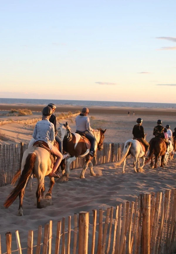 Promenade à cheval en camargue sur la plage