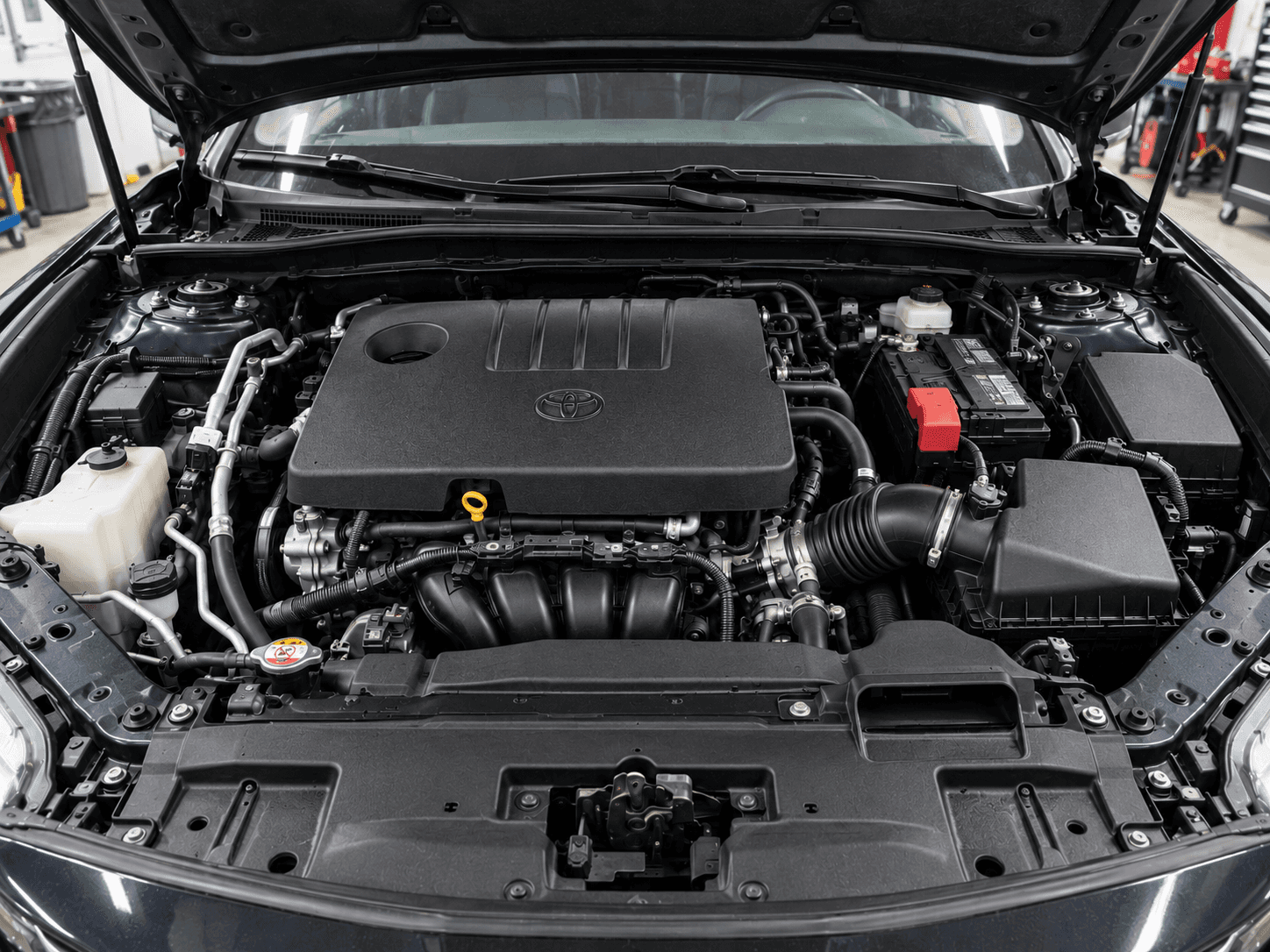 Engine Detailing after