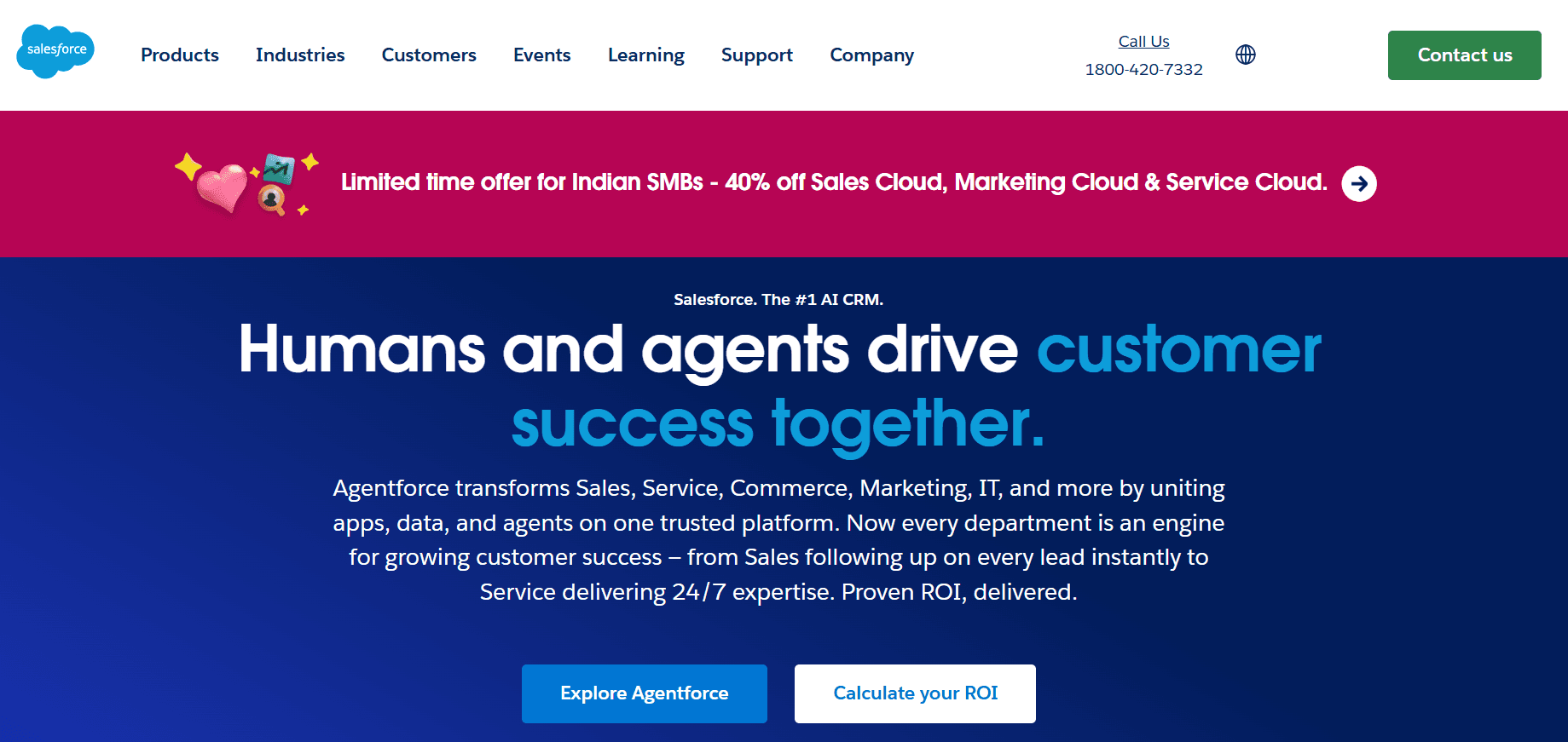salesforce - Sierra Alternatives