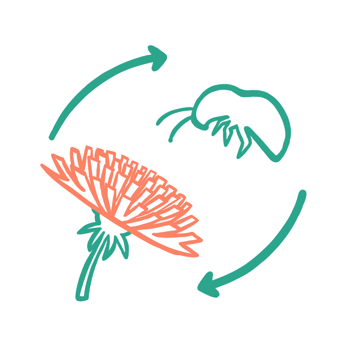 Integrating Conservation Practices Illustration
