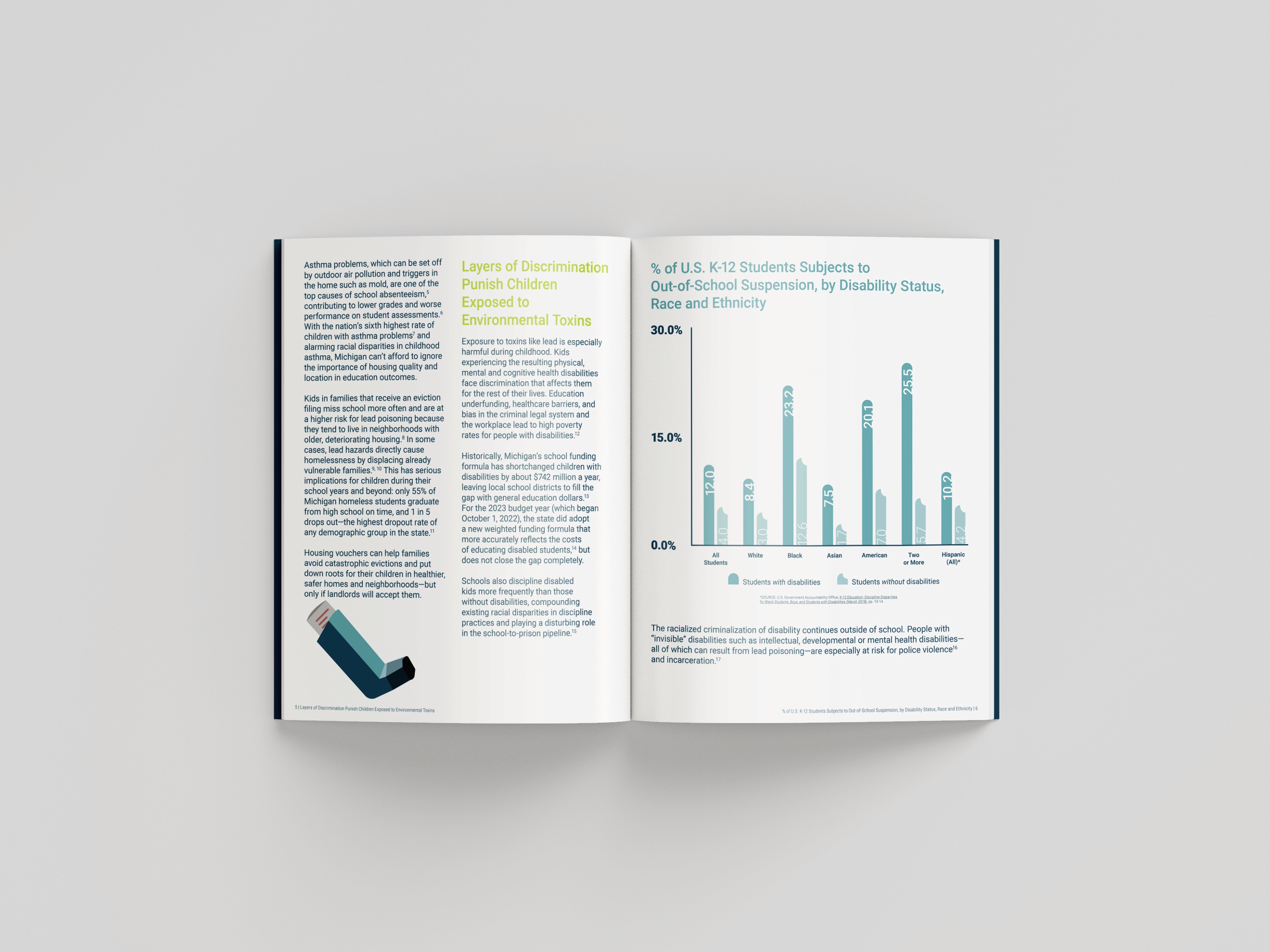 Mockup of inside pages of report