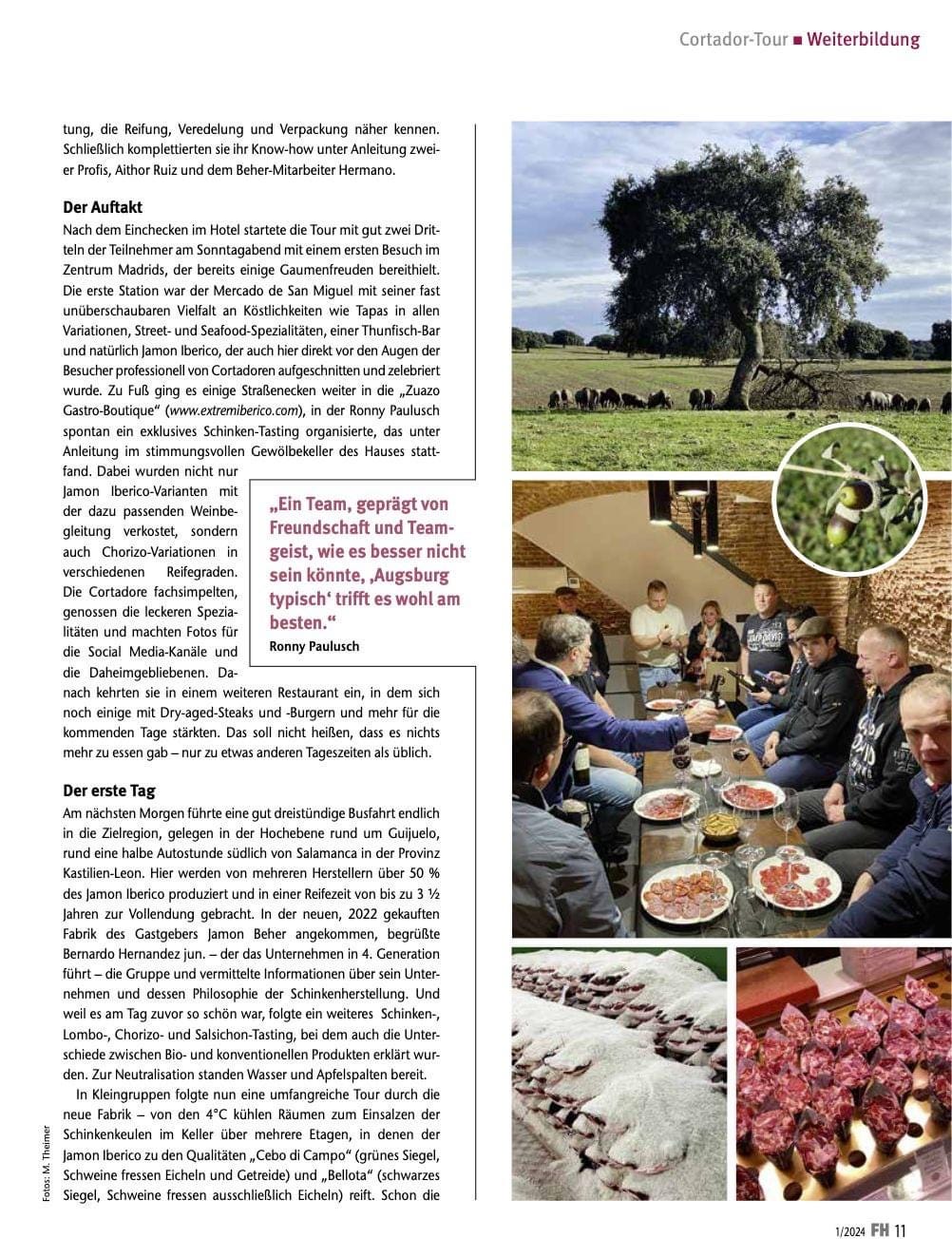 Fachartikel zu Madrid, Guijuelo, Reifung und sensorischer Produktbeurteilung