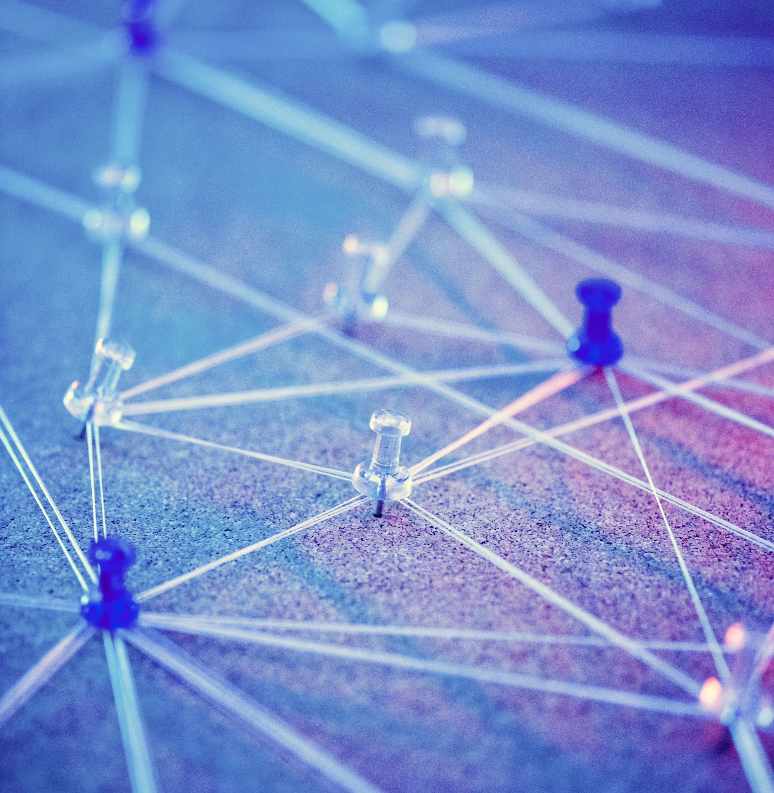 eLearning, learning pathways, knowledge network, collaboration, digital learning, strategy, Pinta