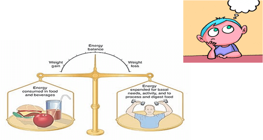 Energy Balance | Dr Aloy Mukherjee