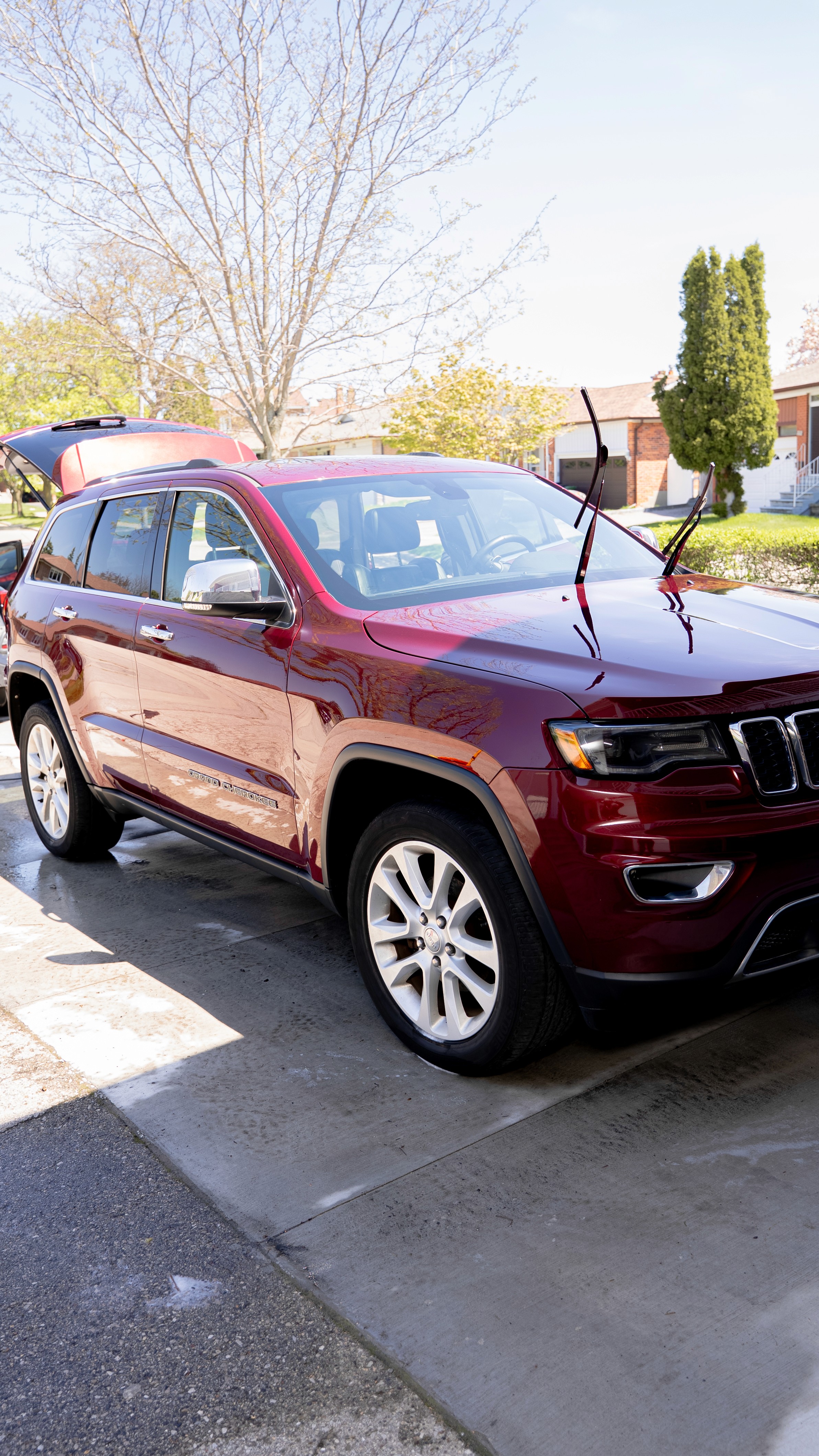 GTA exterior detailing bug splatter removal service