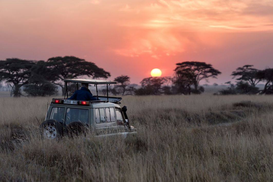 Serengeti Sunrise & Night Safari
