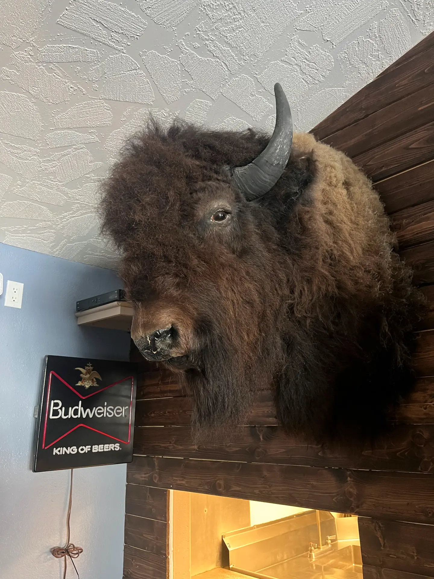 Trophy Grill interior with lodge-style wall decor.