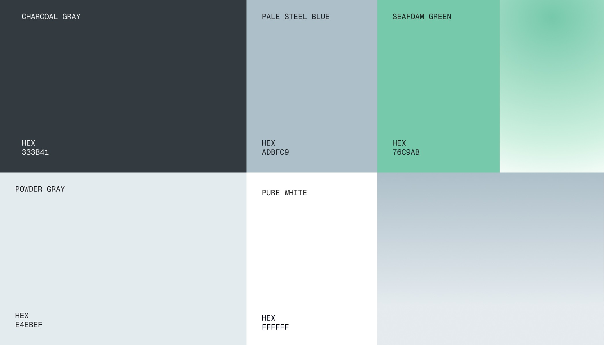 wlns brand color palette