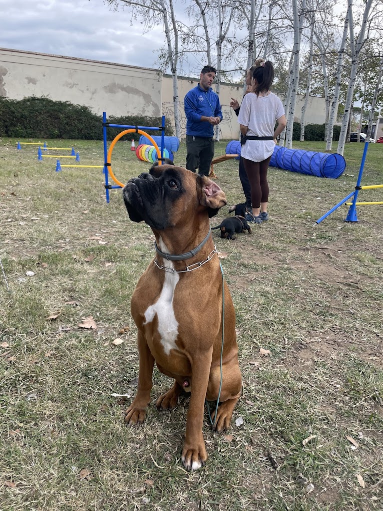  Confianza y seguridad