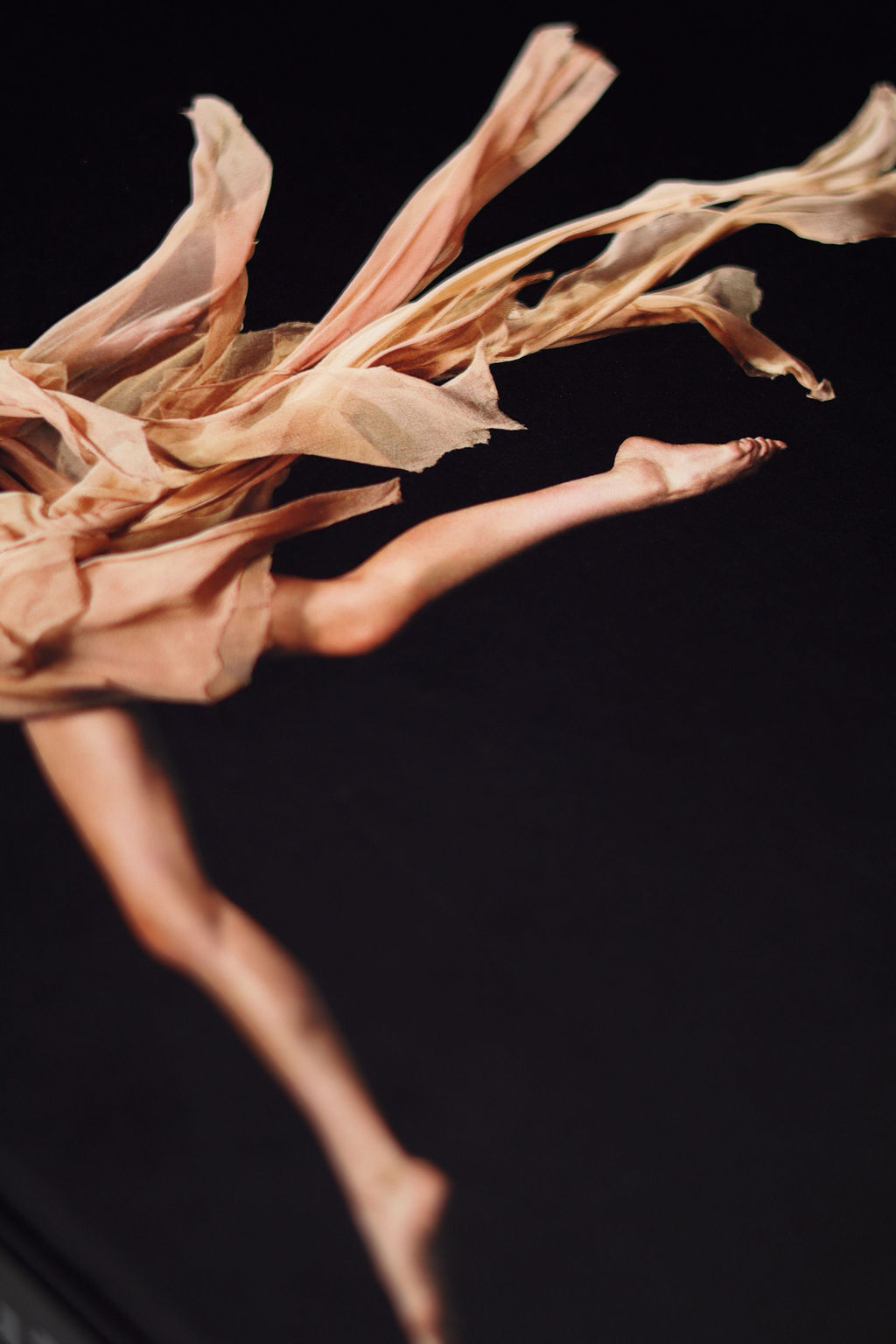 High-end print portfolio showcasing premium craftsmanship and design.
